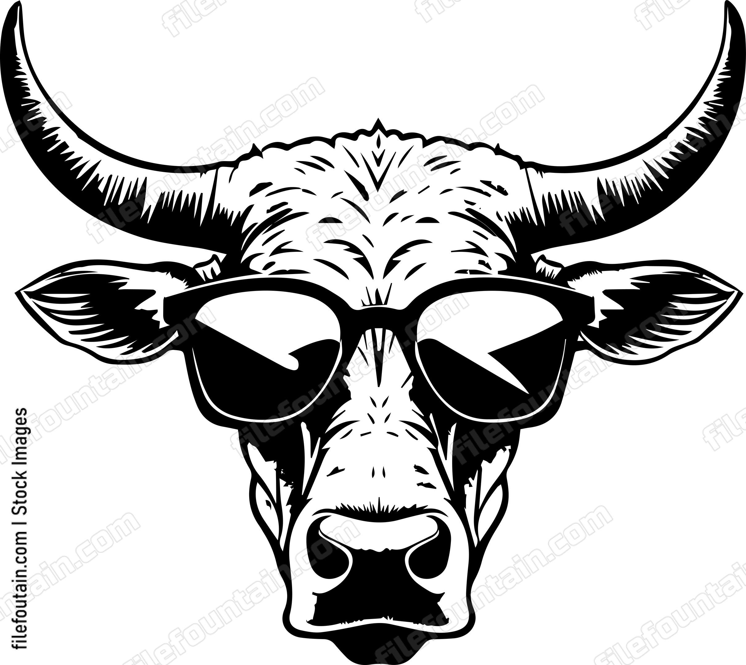 Texas Longhorn In Sunglasses