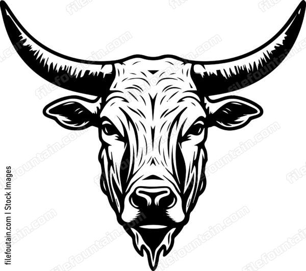 Texas Longhorn