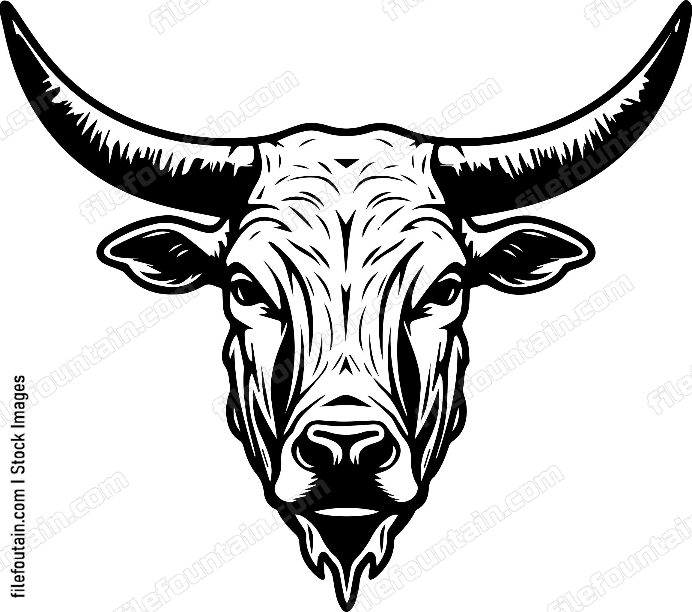 Texas Longhorn