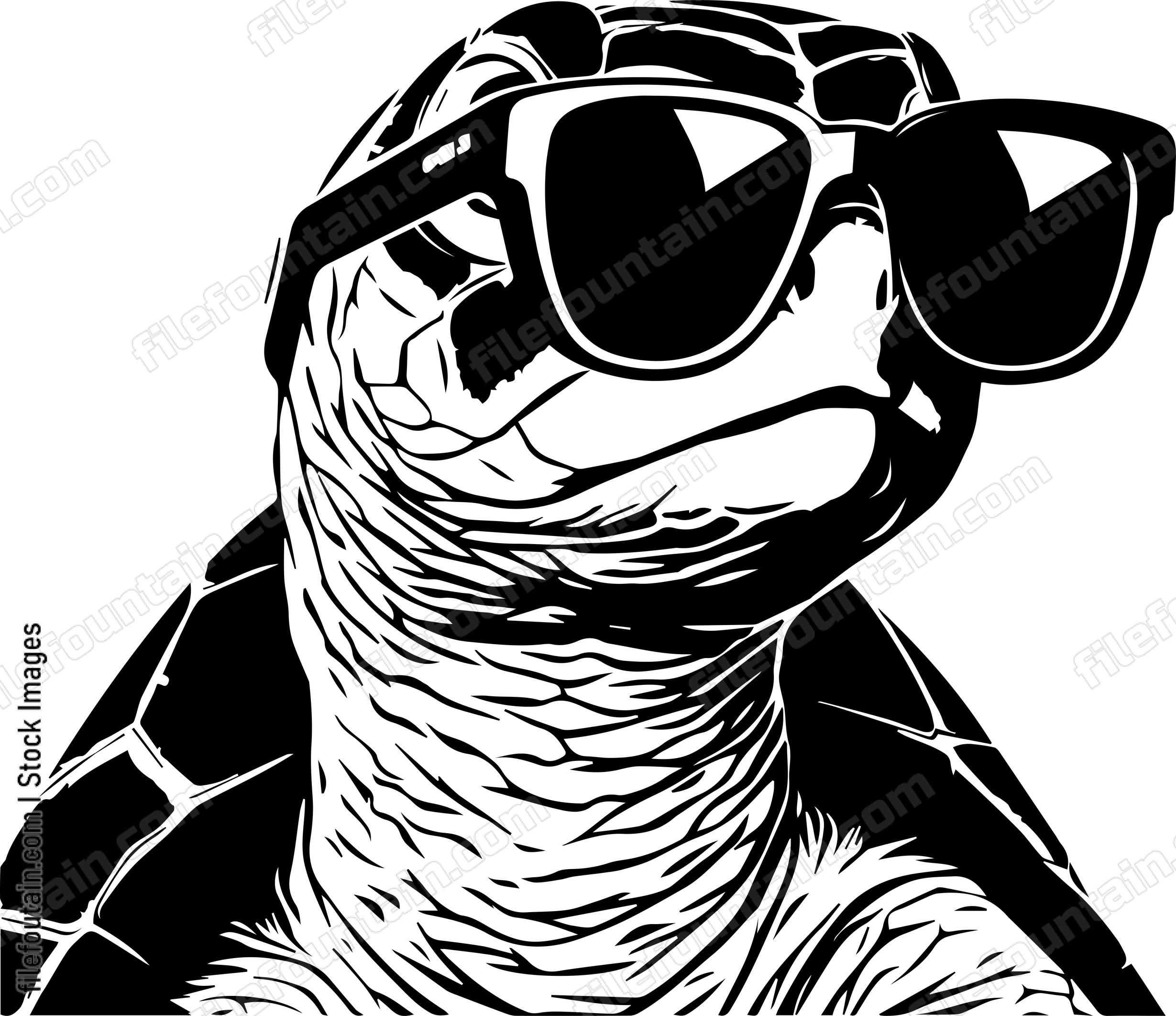 Turtle In Sunglasses