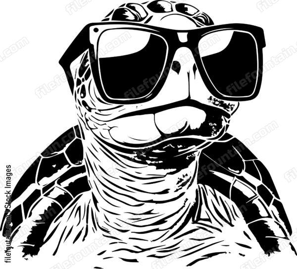 Turtle In Sunglasses