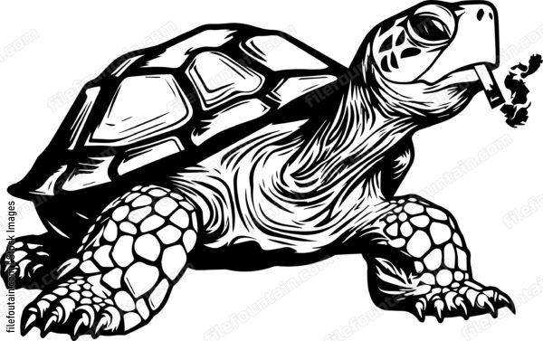Turtle Smoking A Cigar