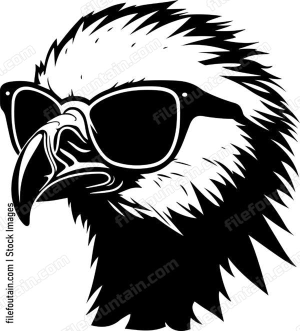 Vulture In Sunglasses