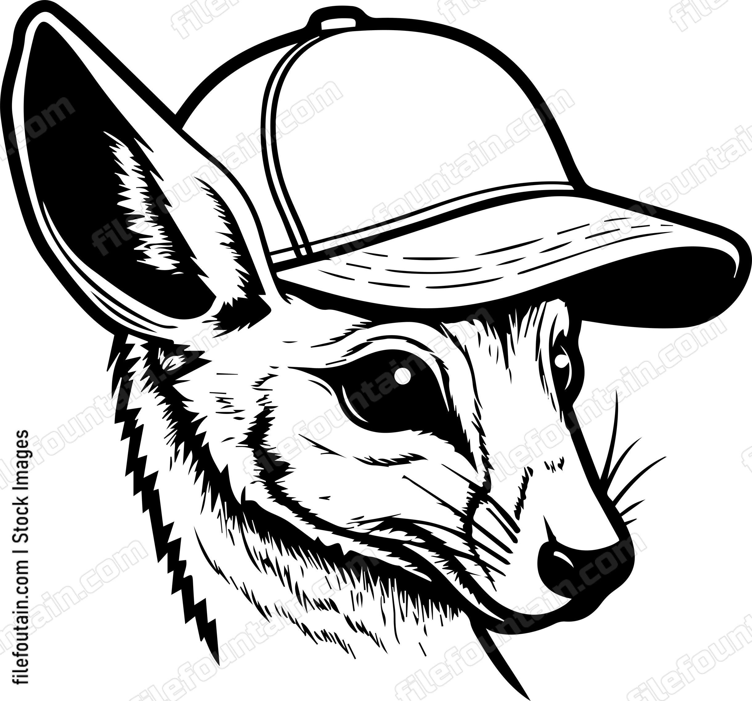 Wallaby In Baseball Cap