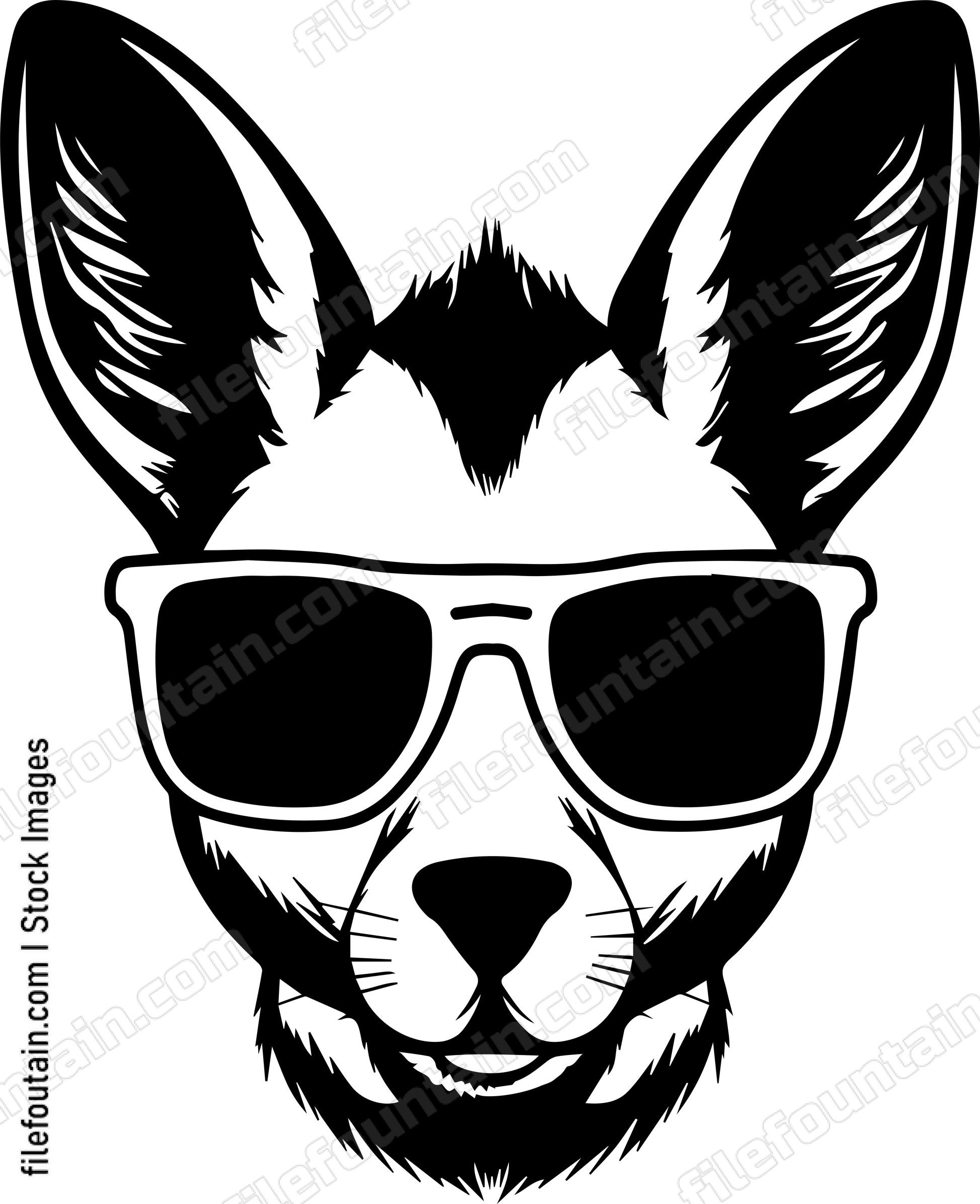 Wallaby In Sunglasses
