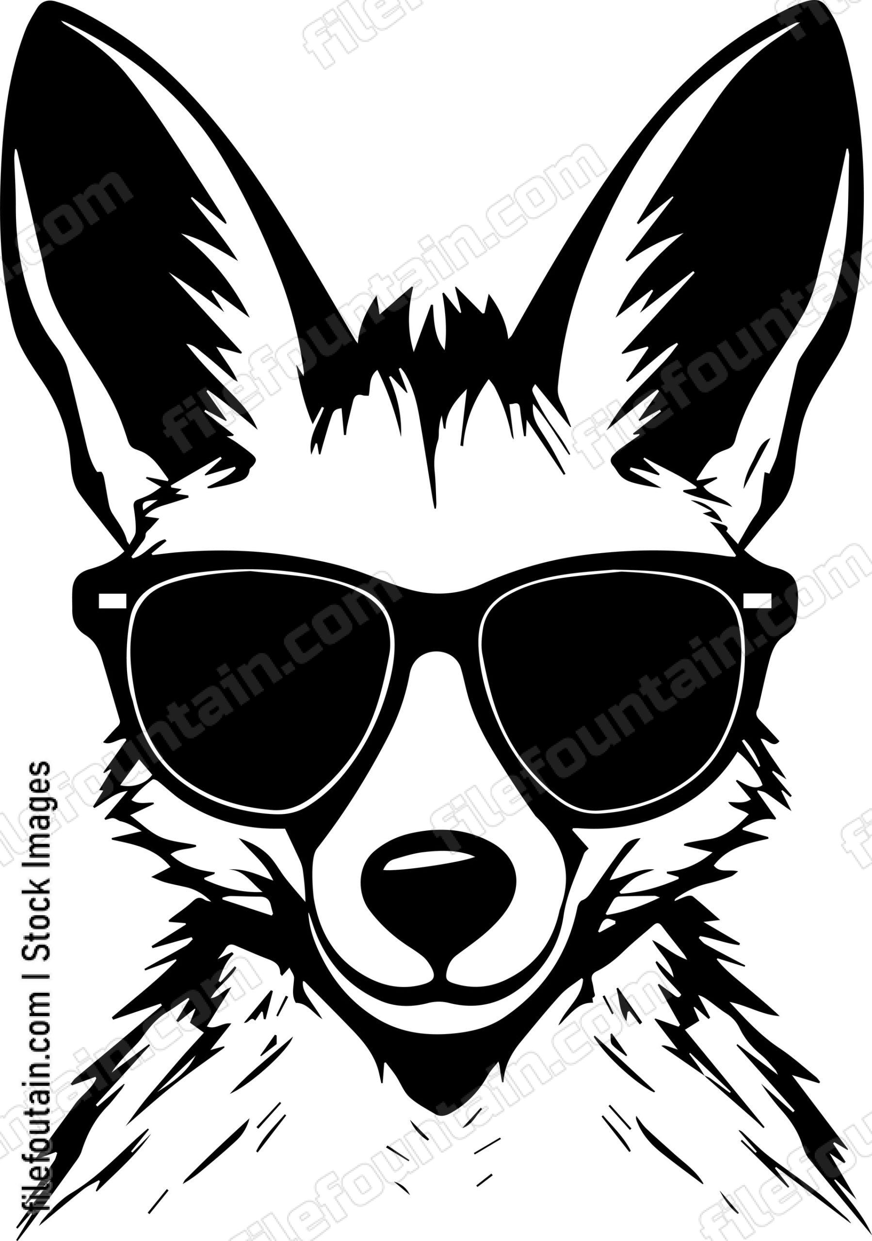 Wallaby In Sunglasses