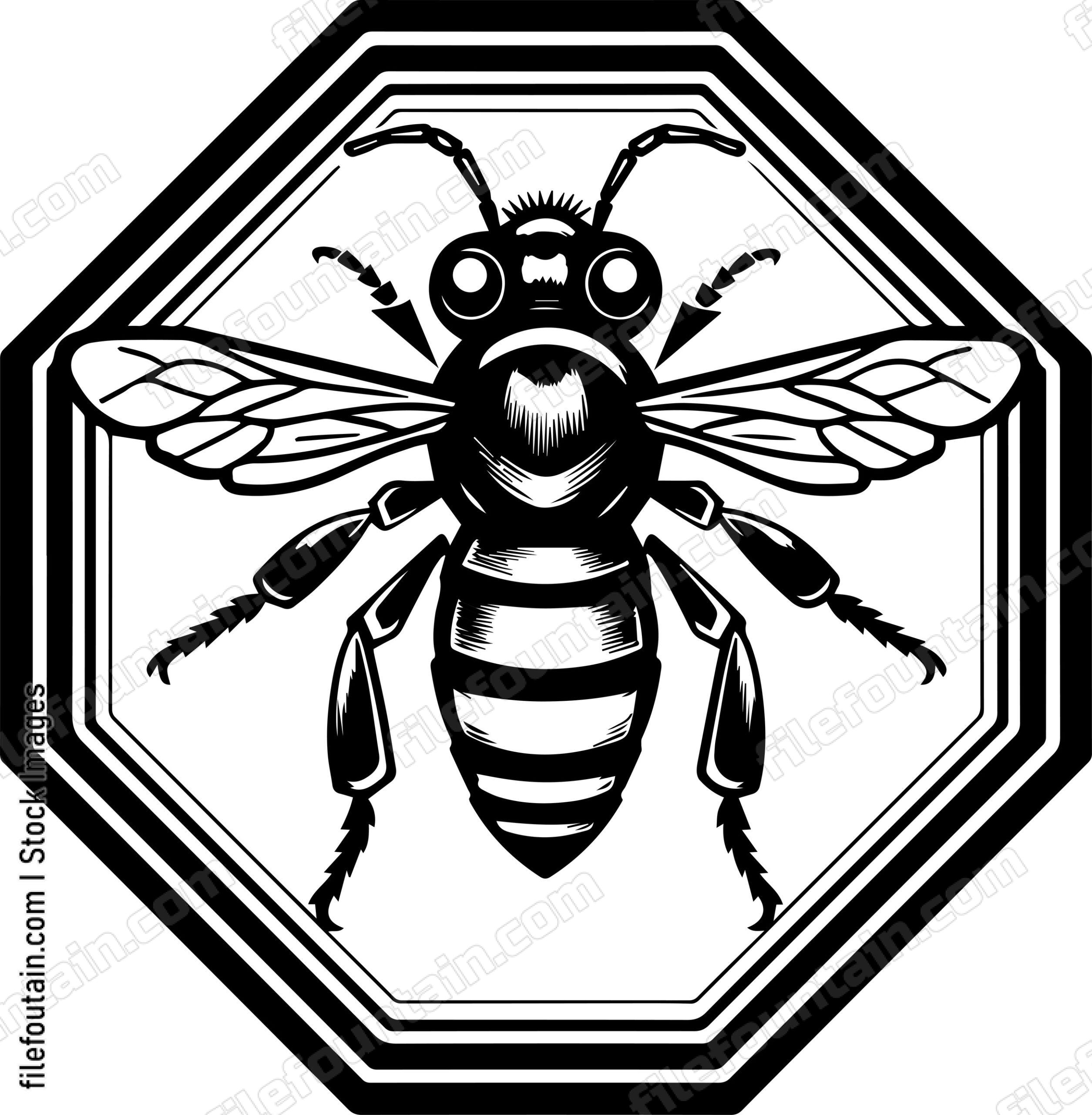 Wasp