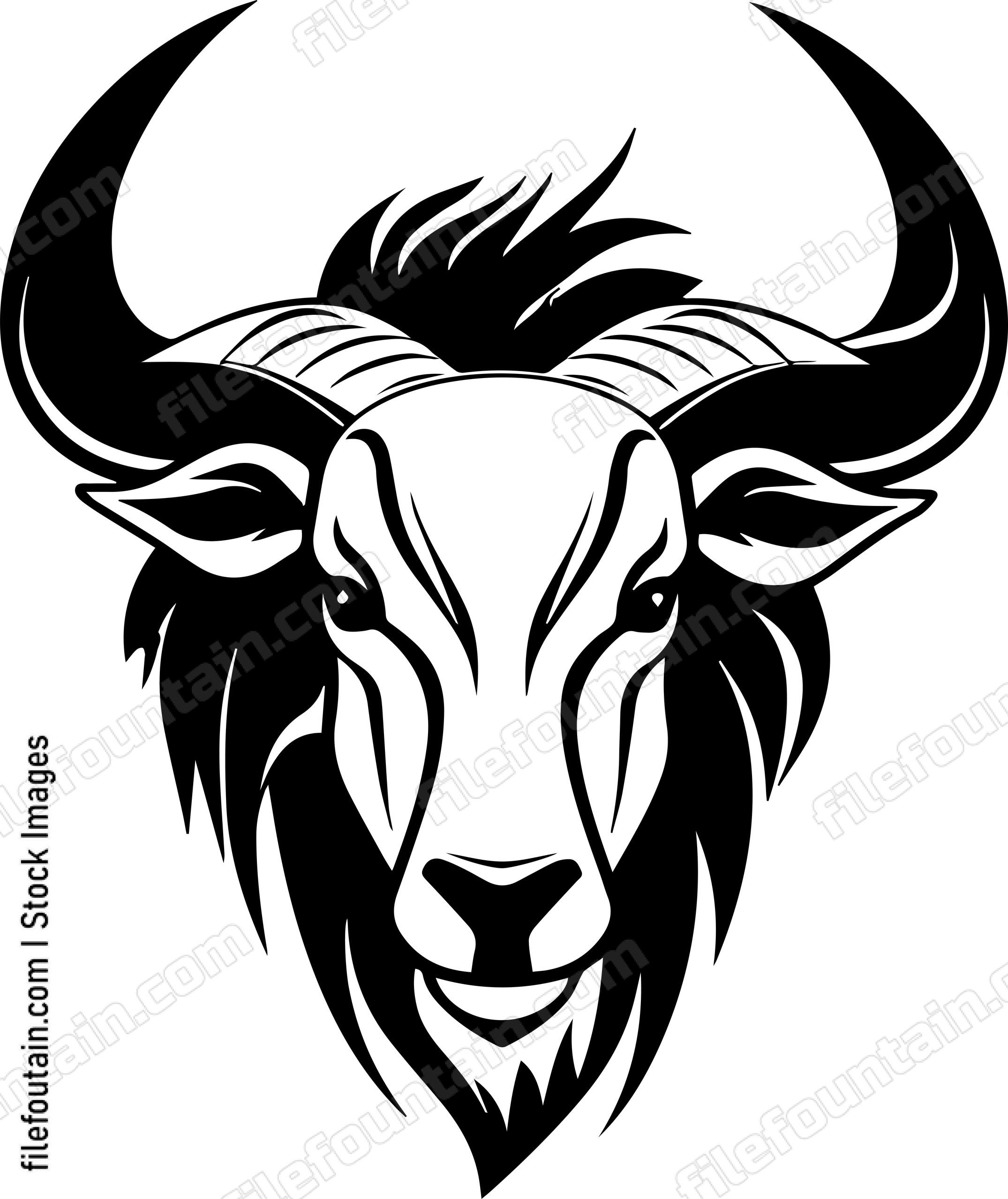 Wildebeest