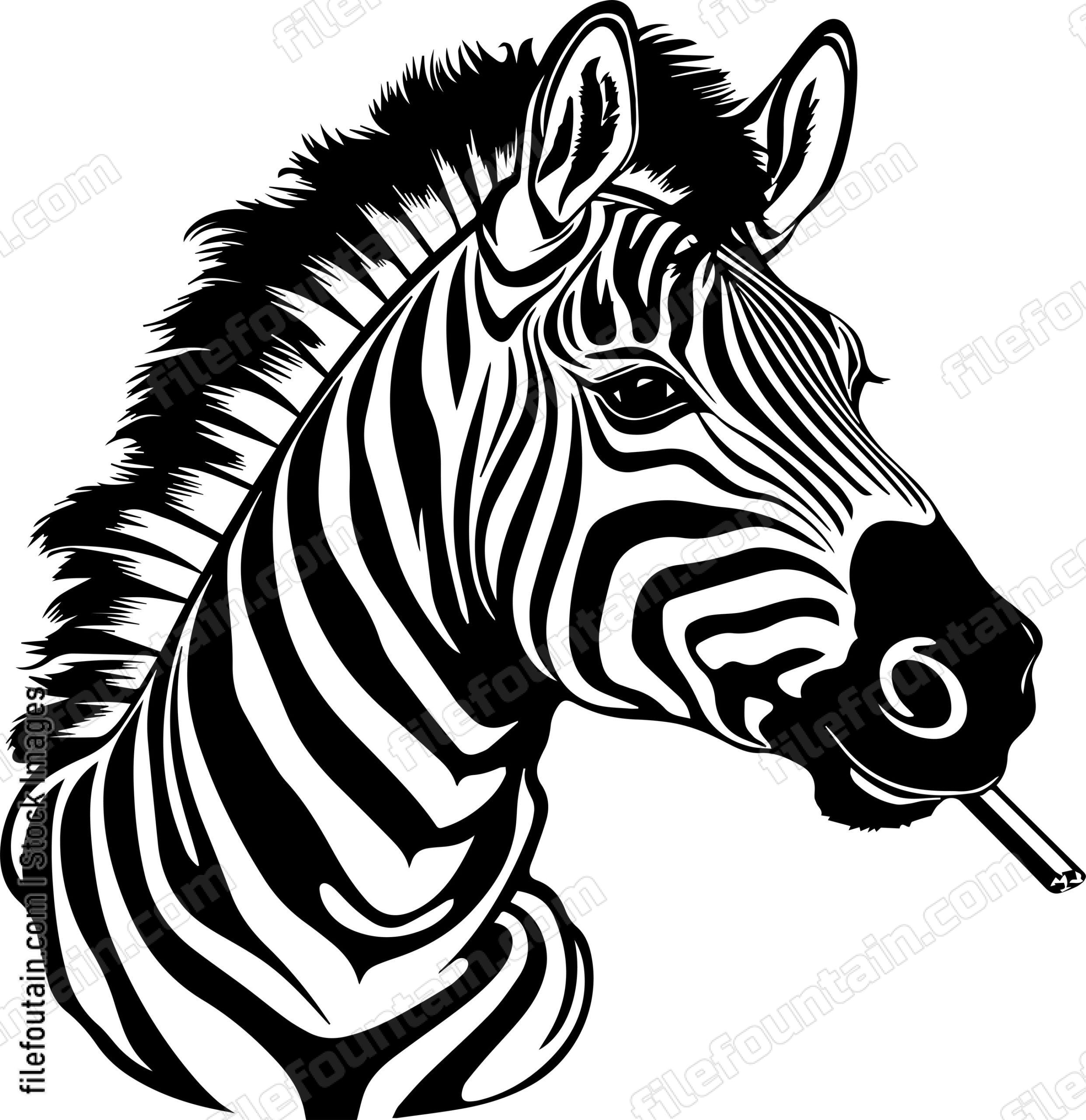 Zebra Smoking A Cigar