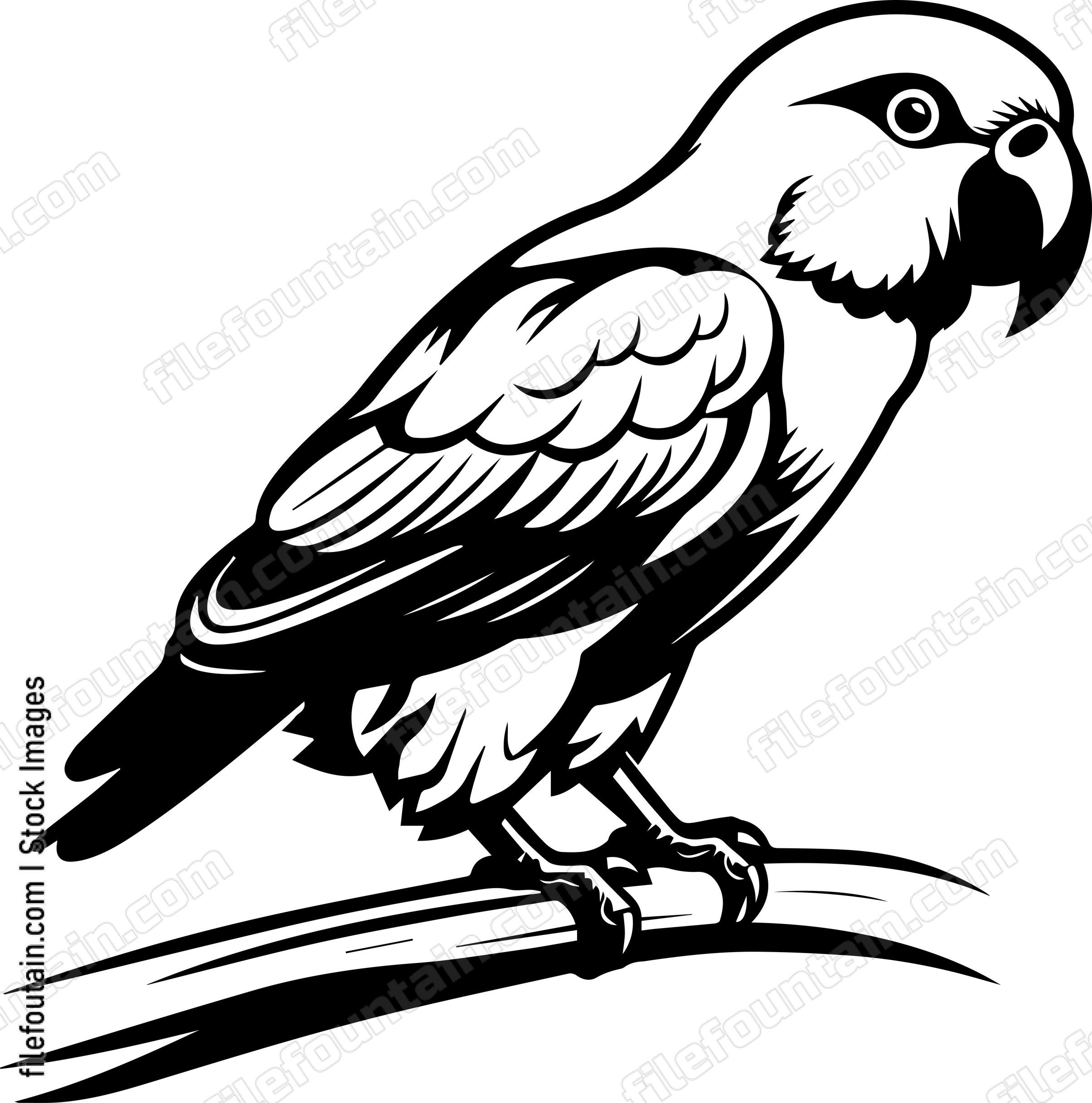 Alexandrine Parakeet