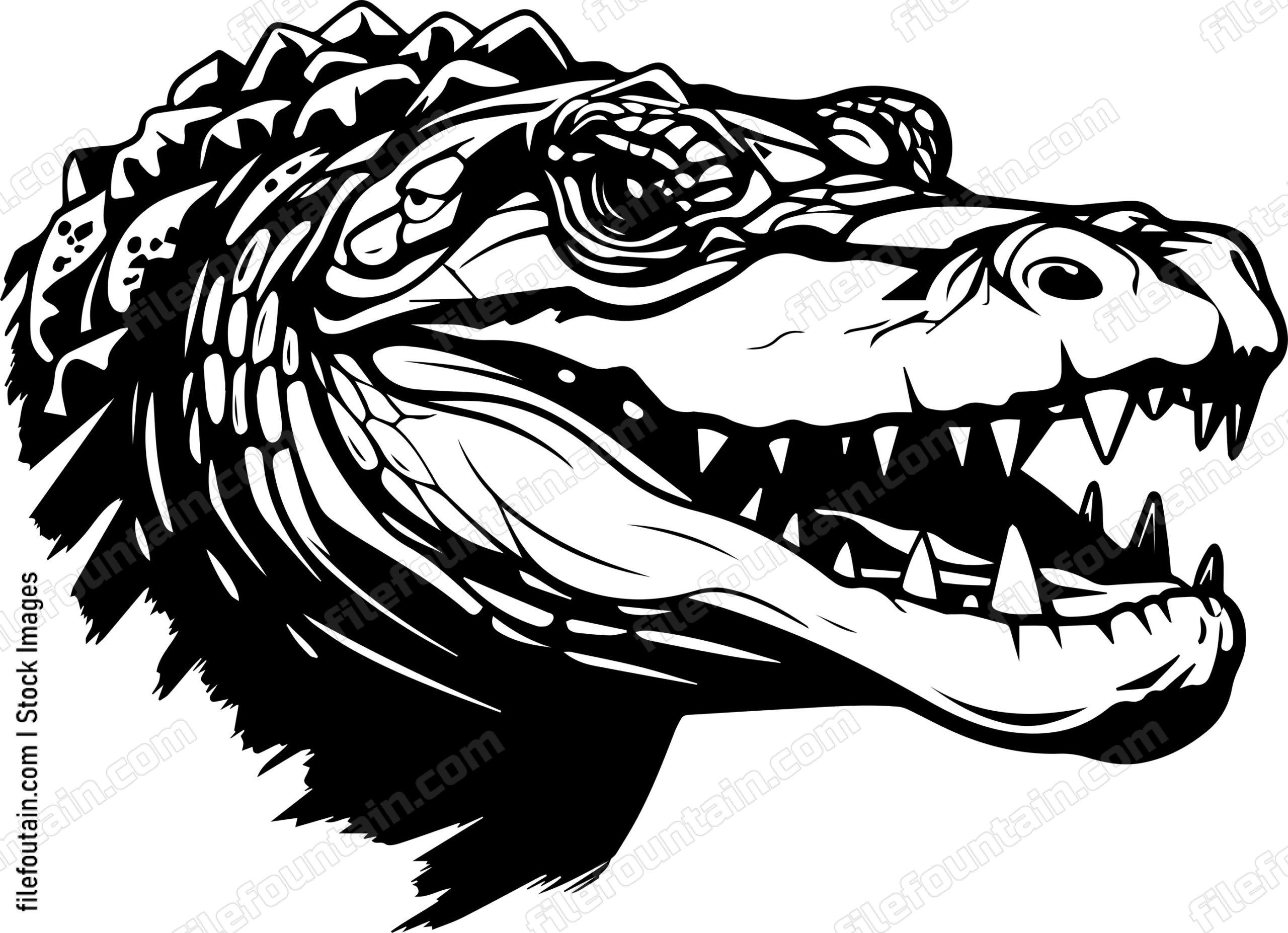 Alligator Head