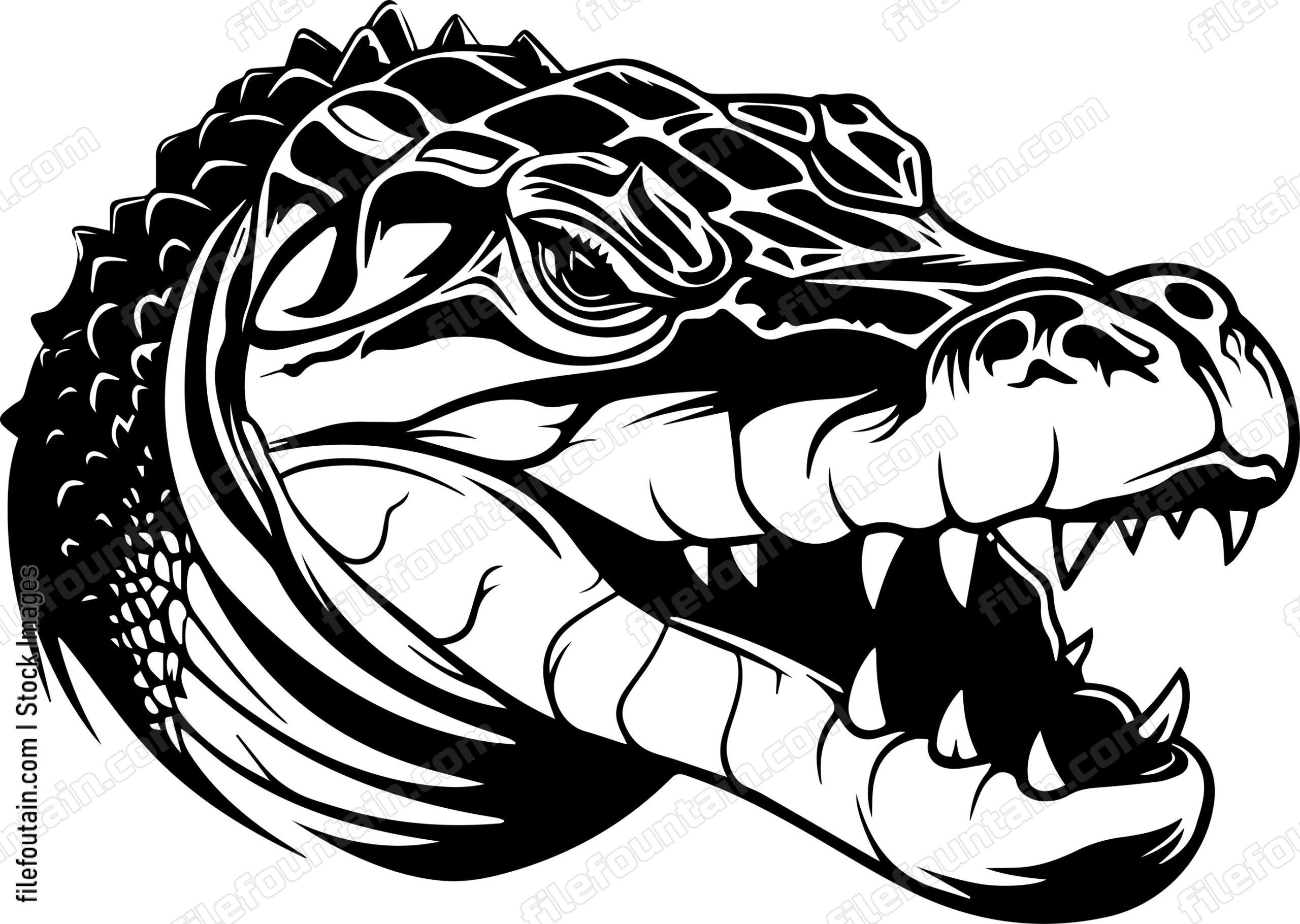 Alligator Head