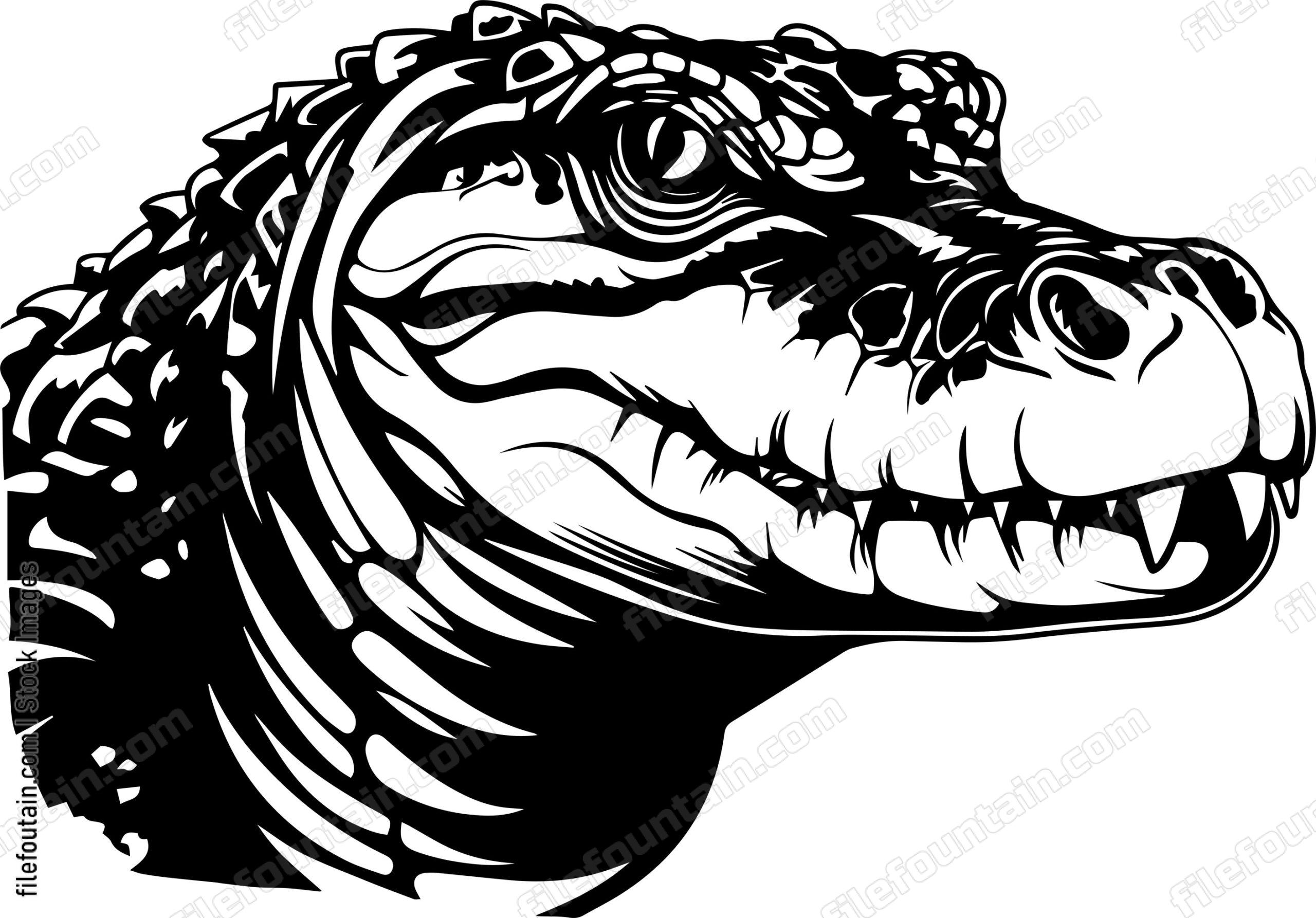 Alligator Head
