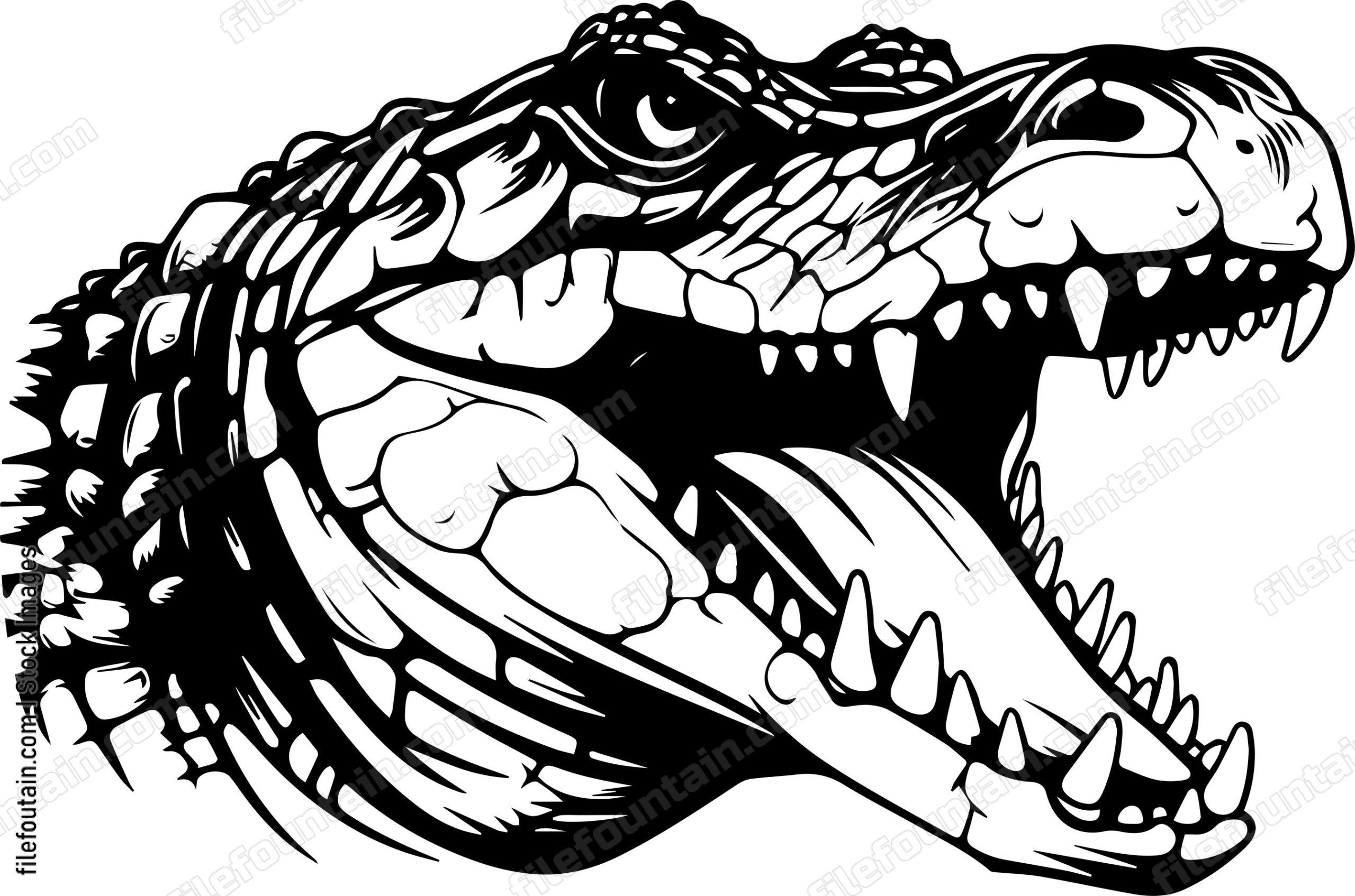 Alligator Open Mouth