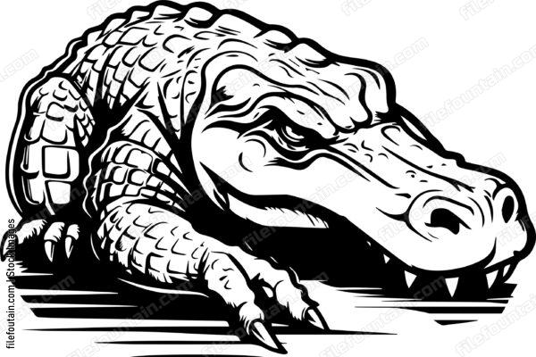 Alligator Sleeping