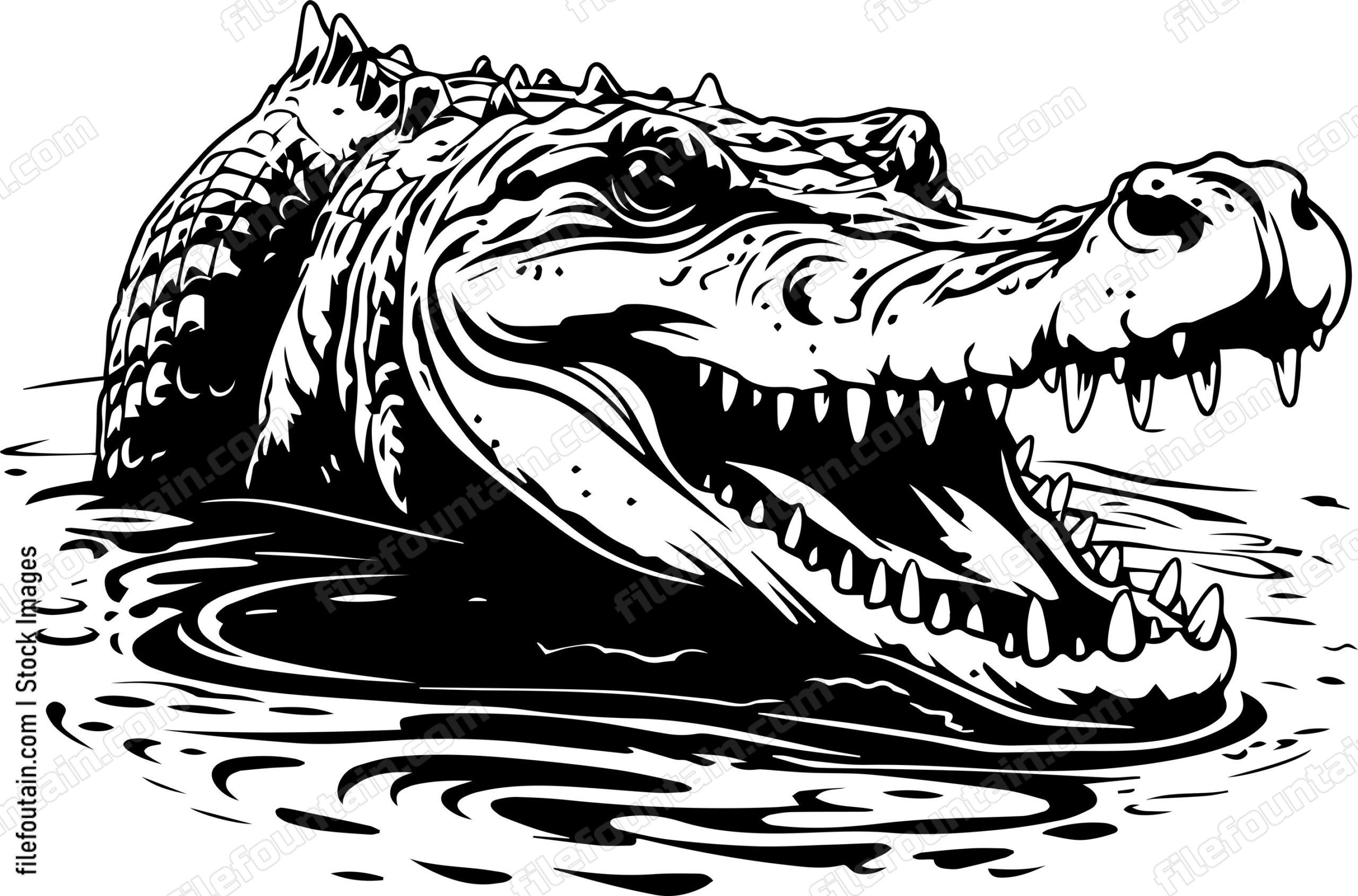 Alligator Submerged In Water