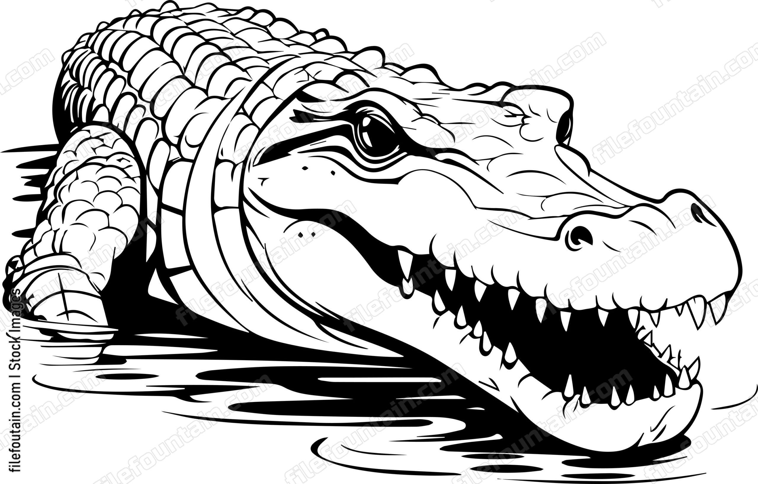 Alligator Submerged In Water
