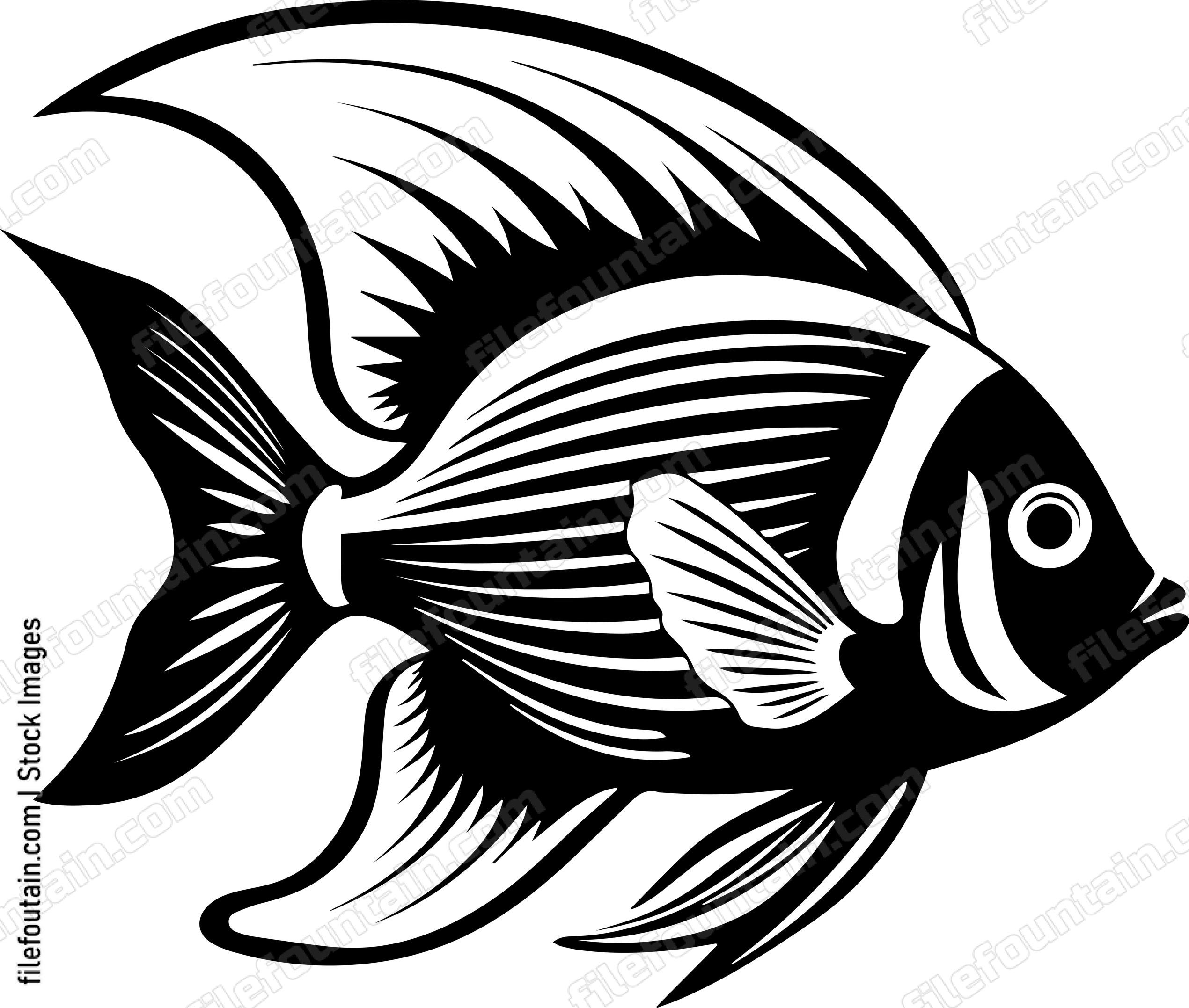 Angelfish