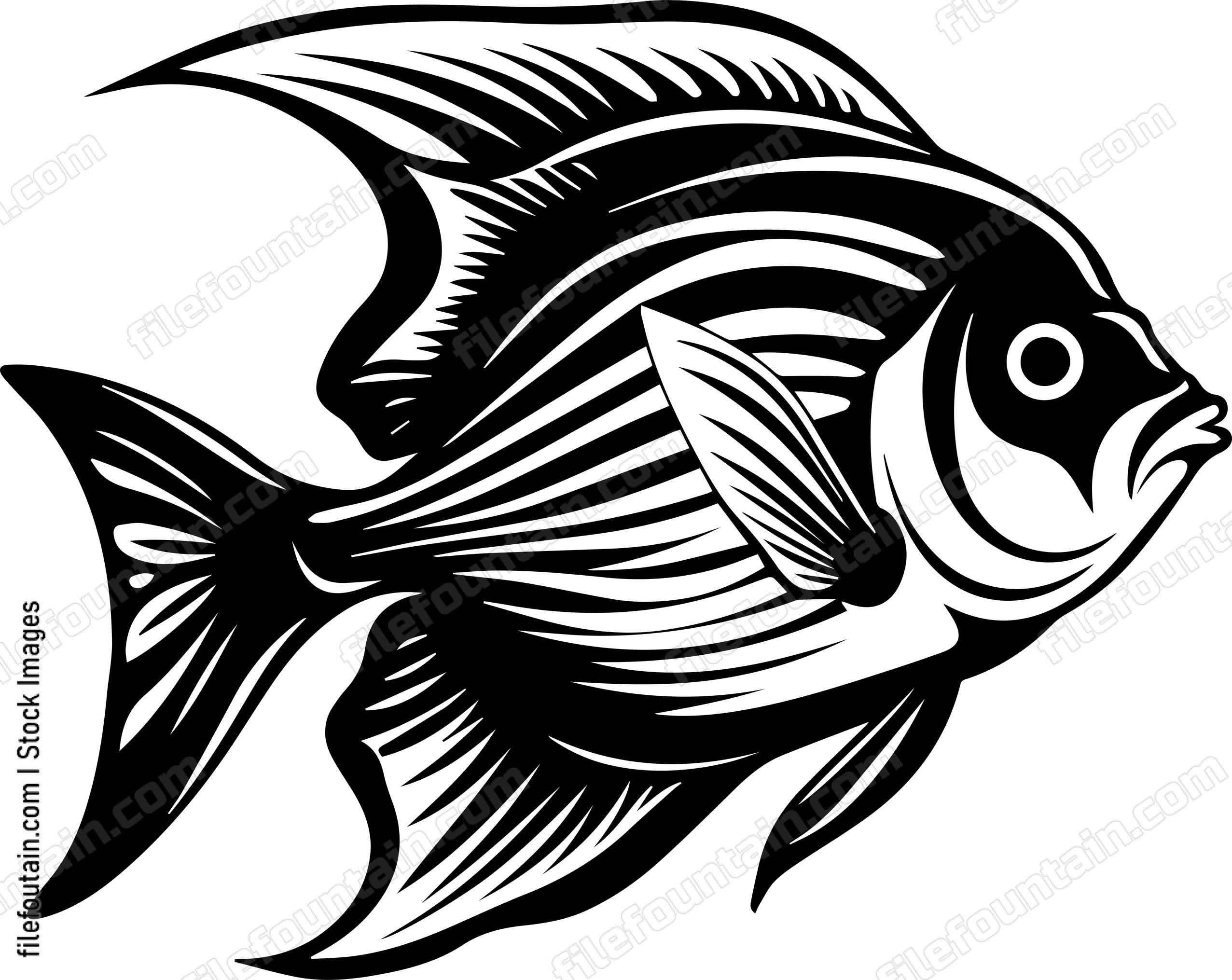 Angelfish