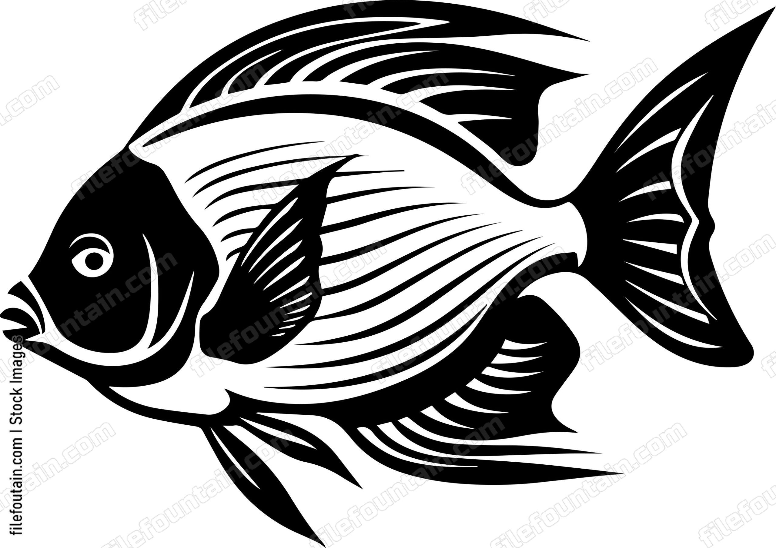 Angelfish