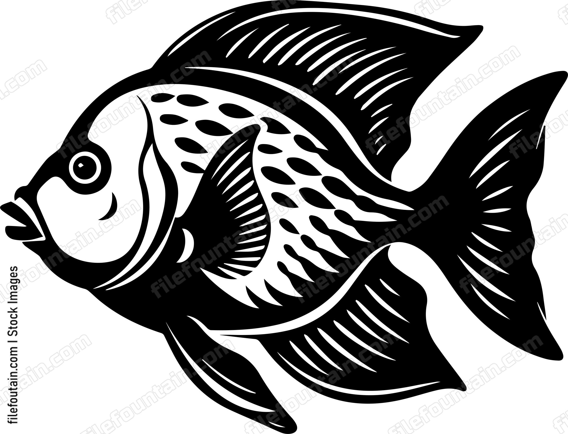 Angelfish