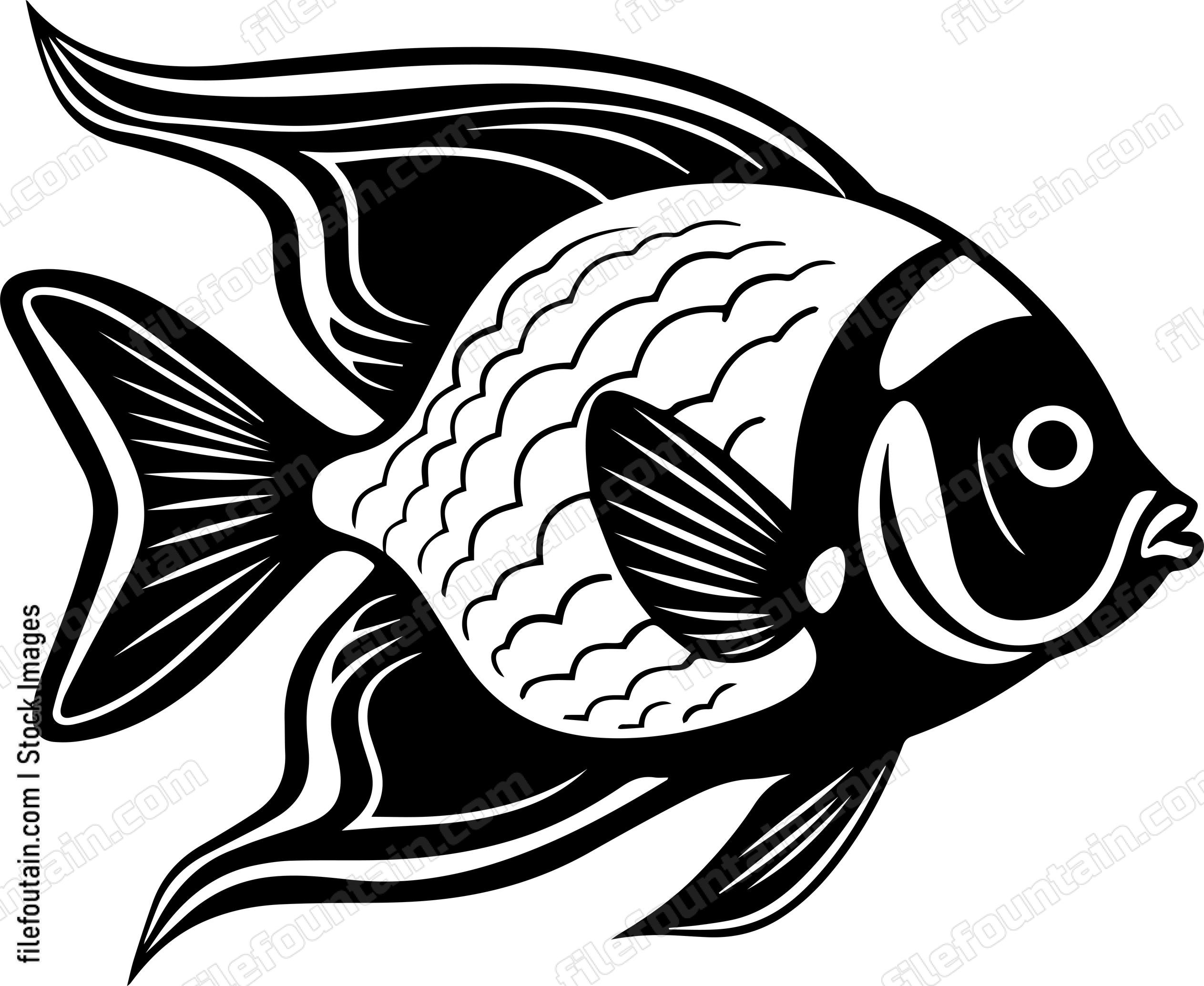 Angelfish