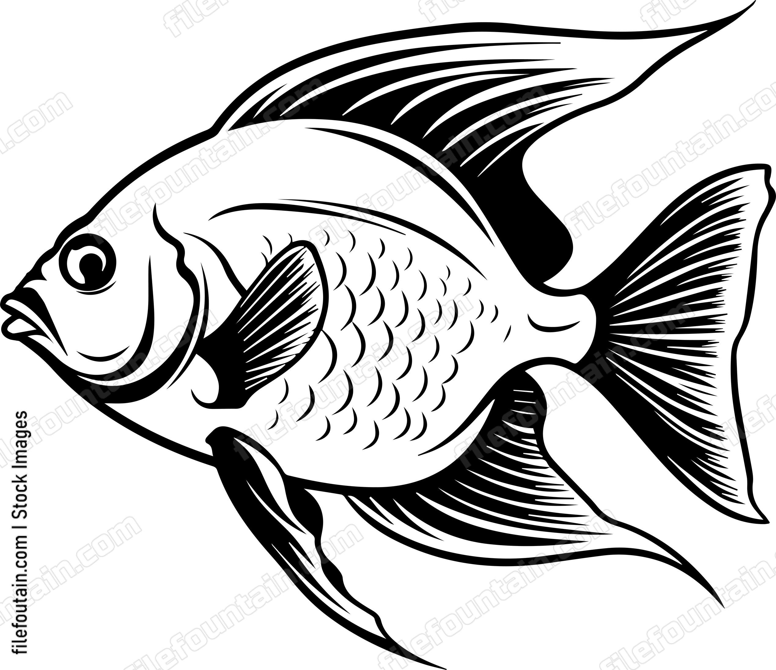 Angelfish