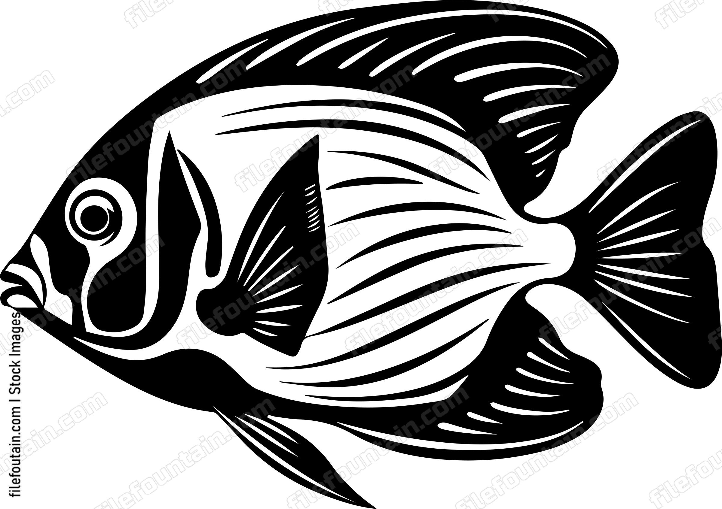 Angelfish
