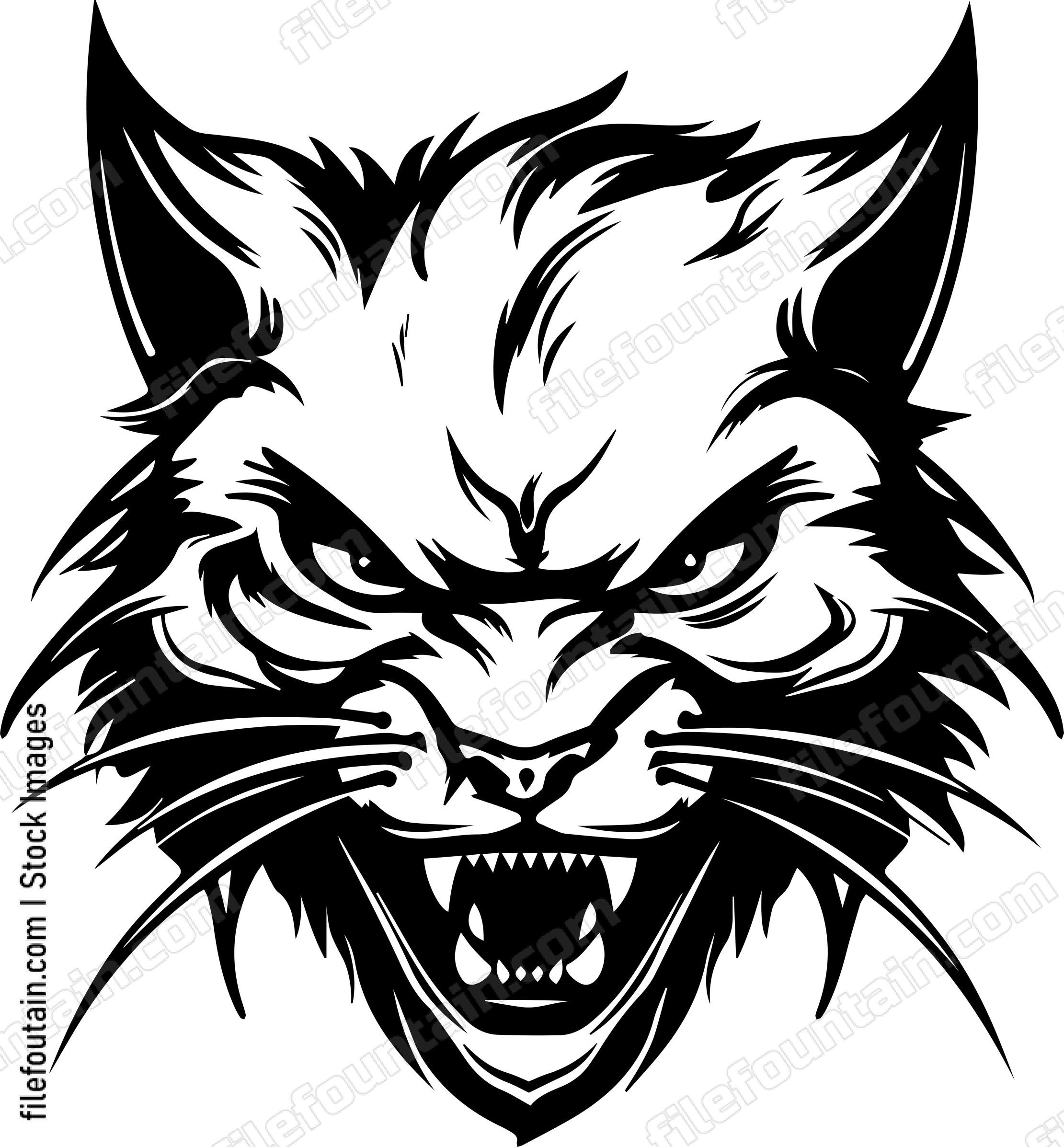 Angry Cat