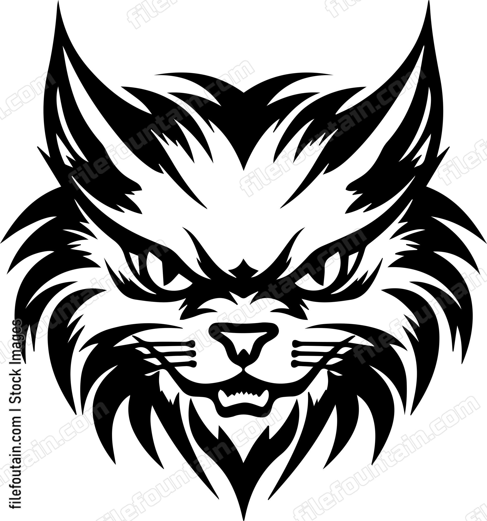 Angry Cat