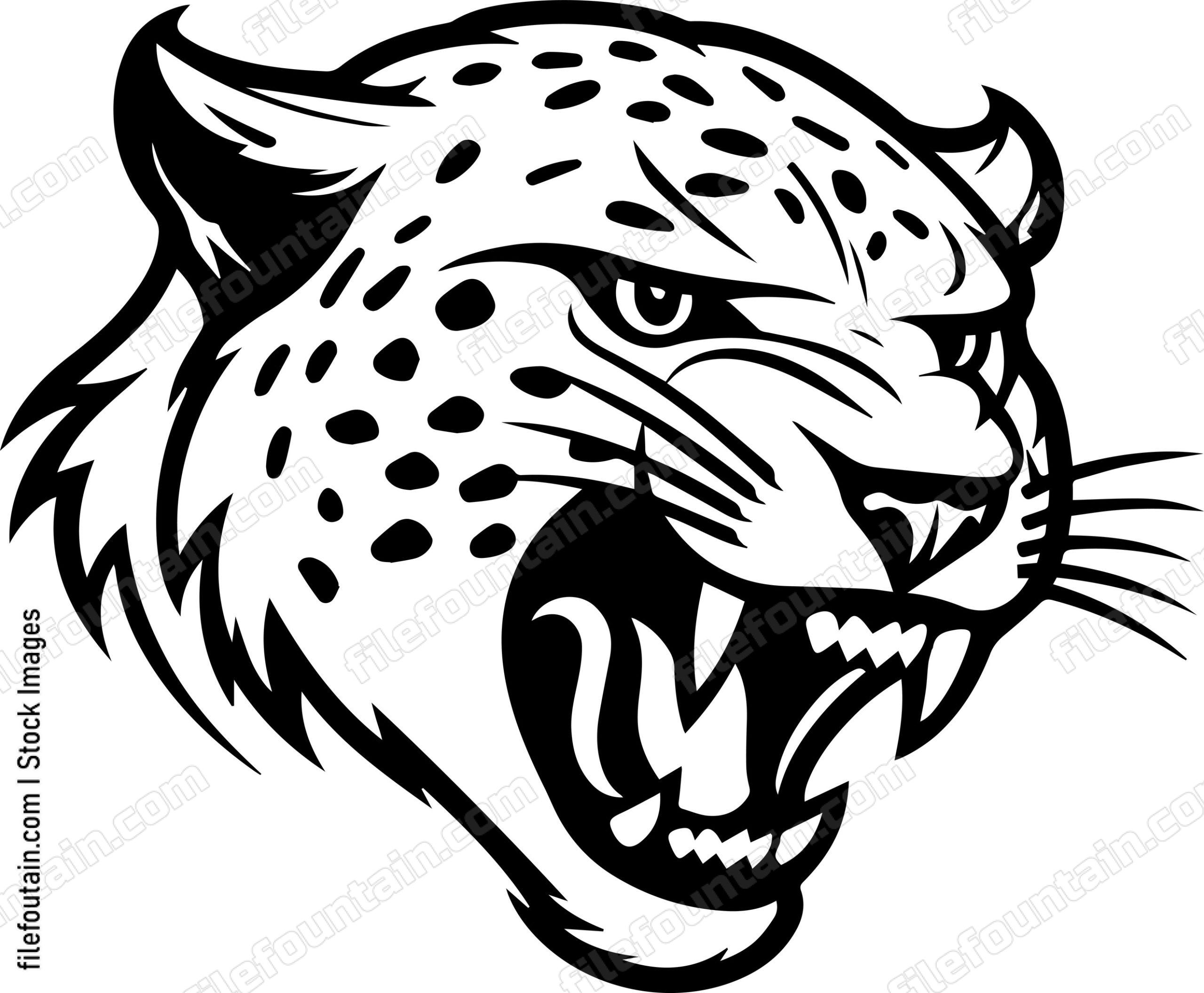 Angry Cheetah