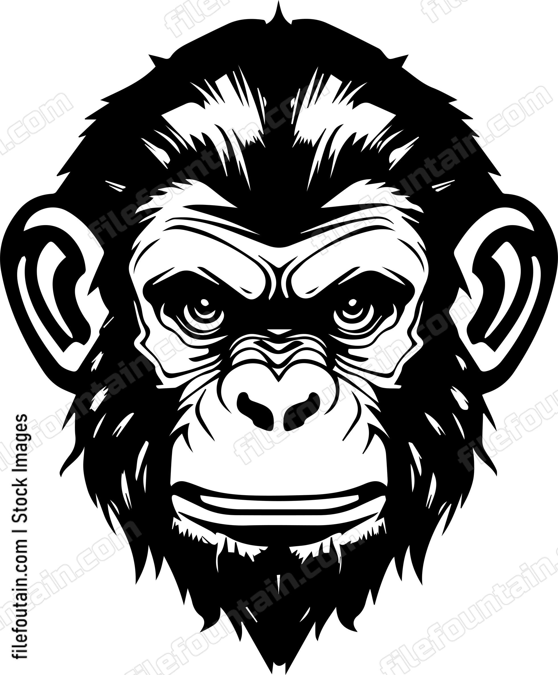 Angry Chimpanzee