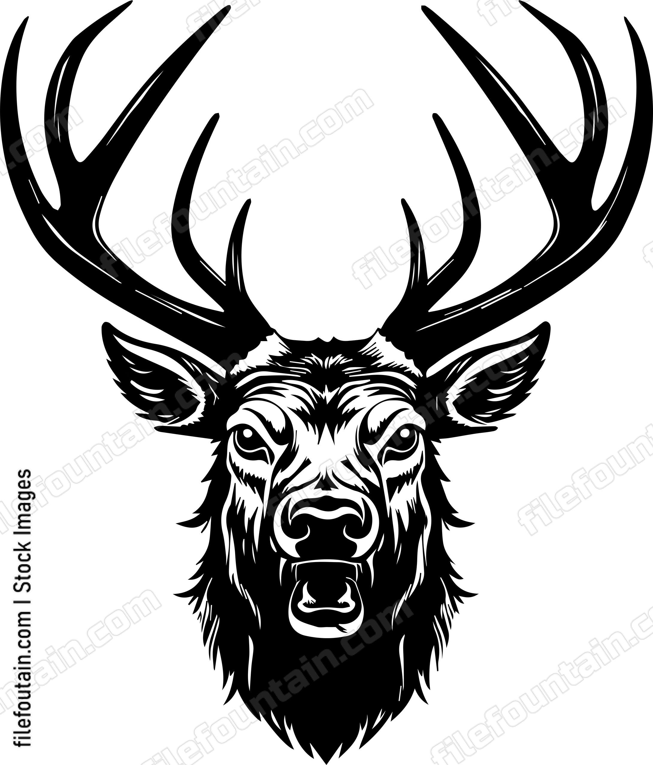 Angry Deer