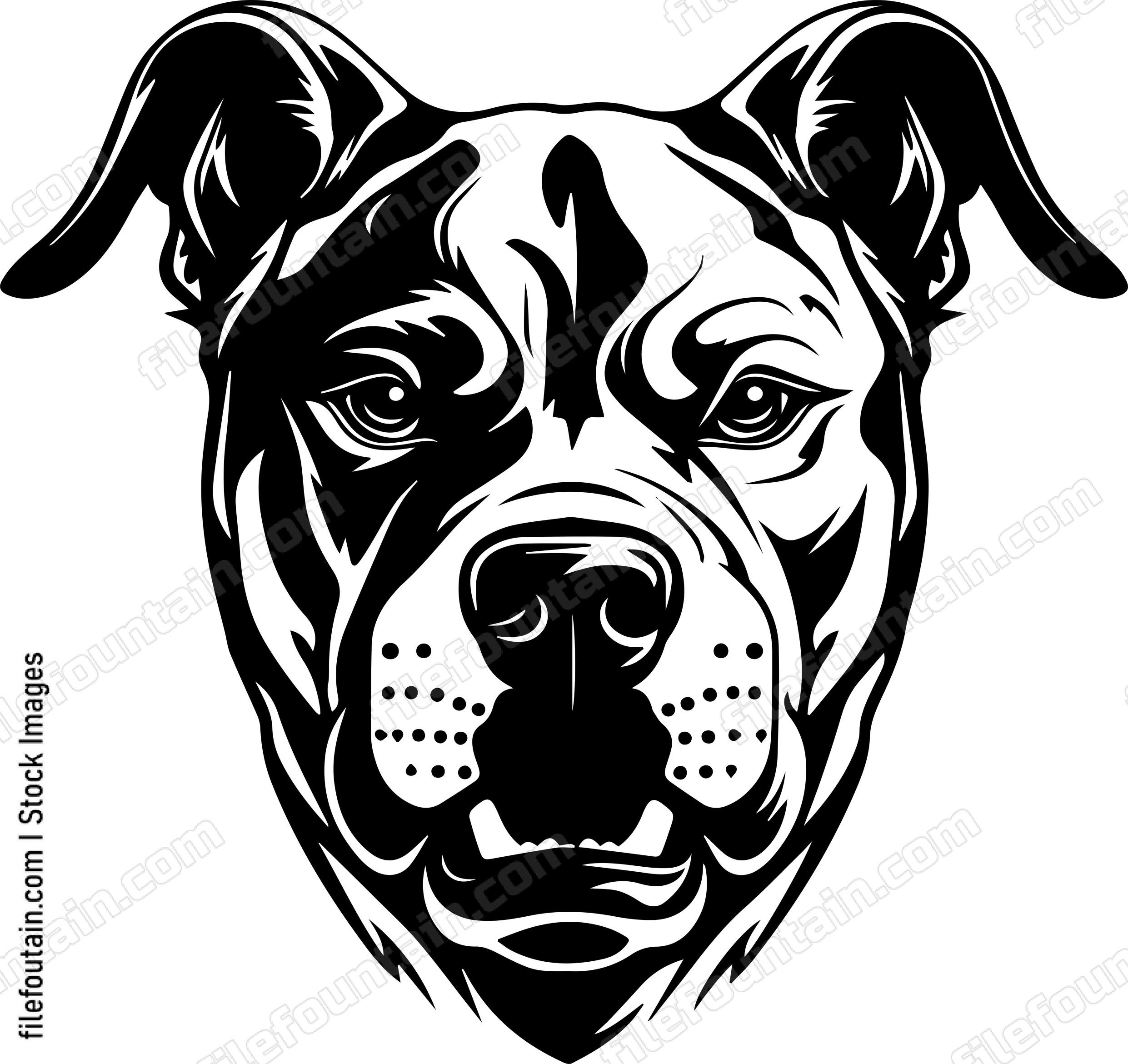 Angry Dog