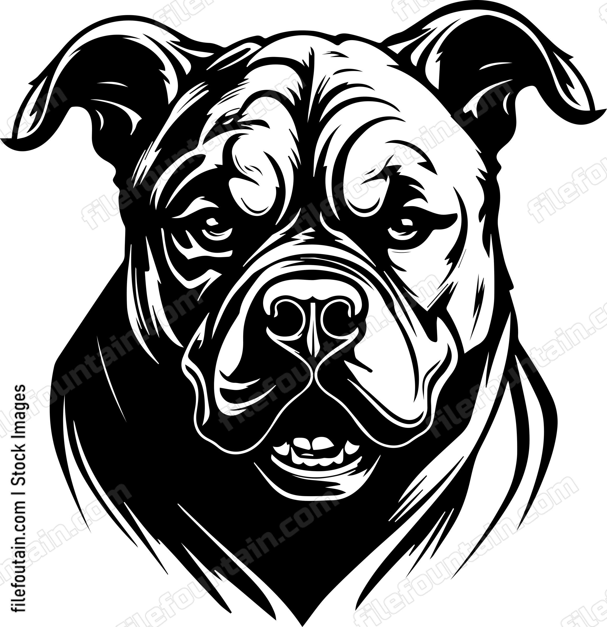 Angry Dog