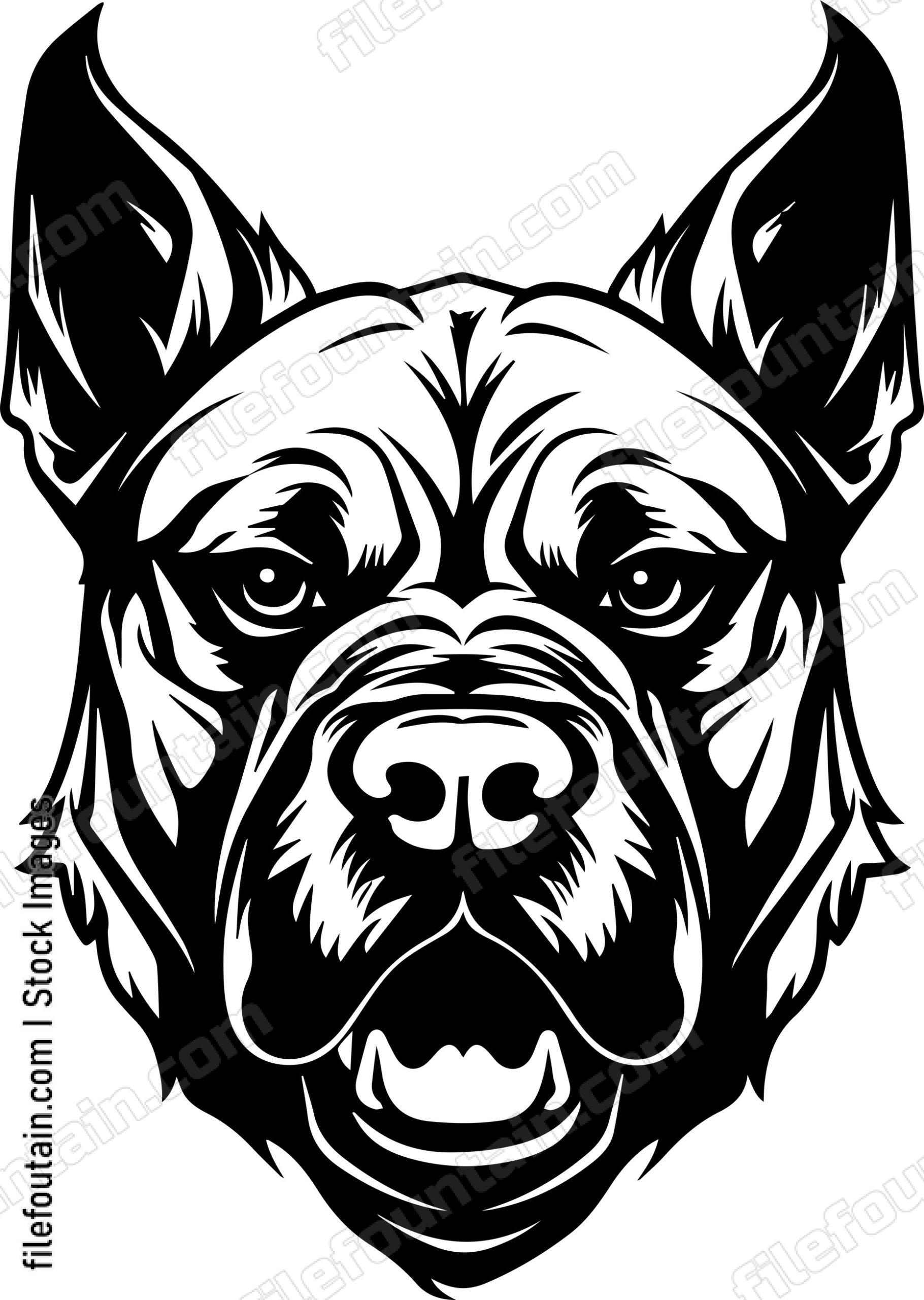 Angry Dog