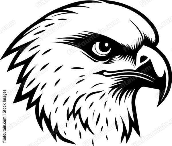 Angry Falcon