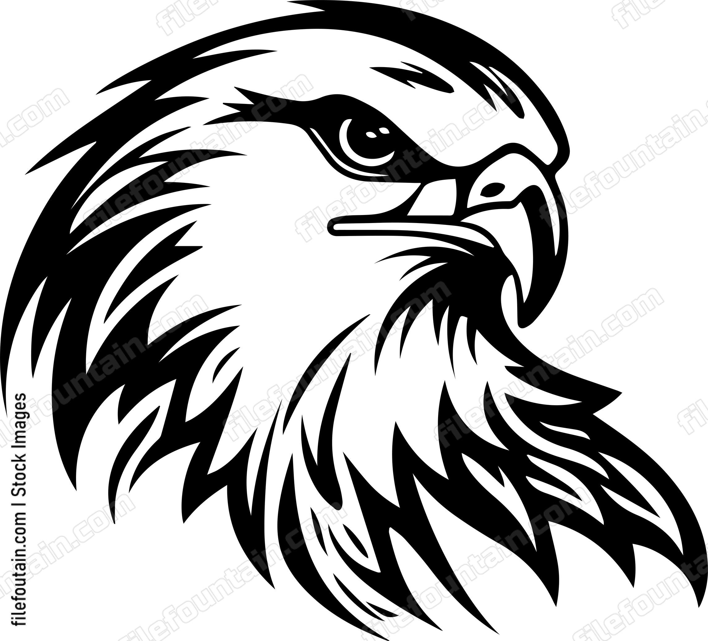 Angry Falcon