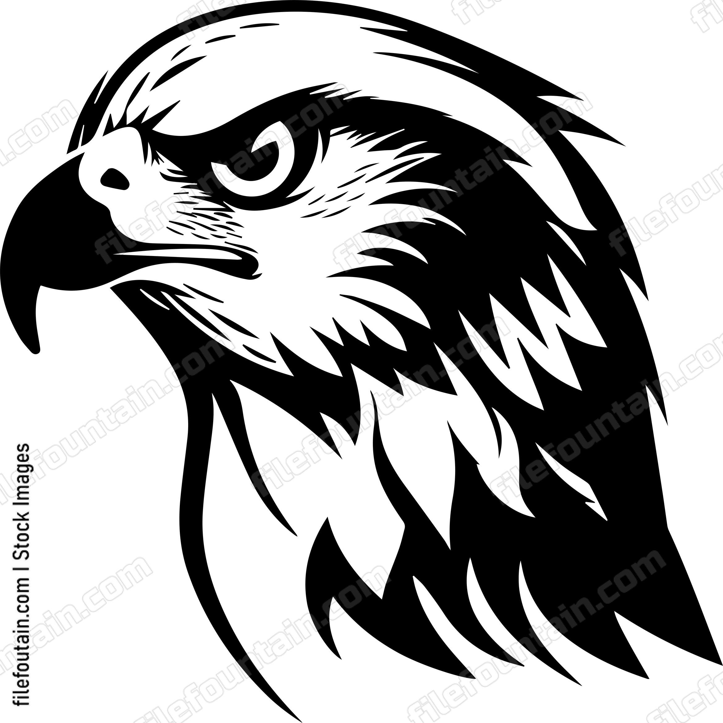 Angry Falcon