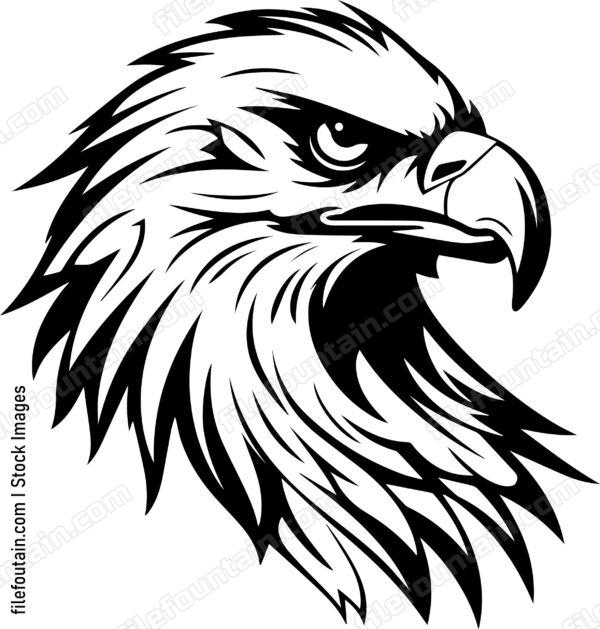 Angry Hawk