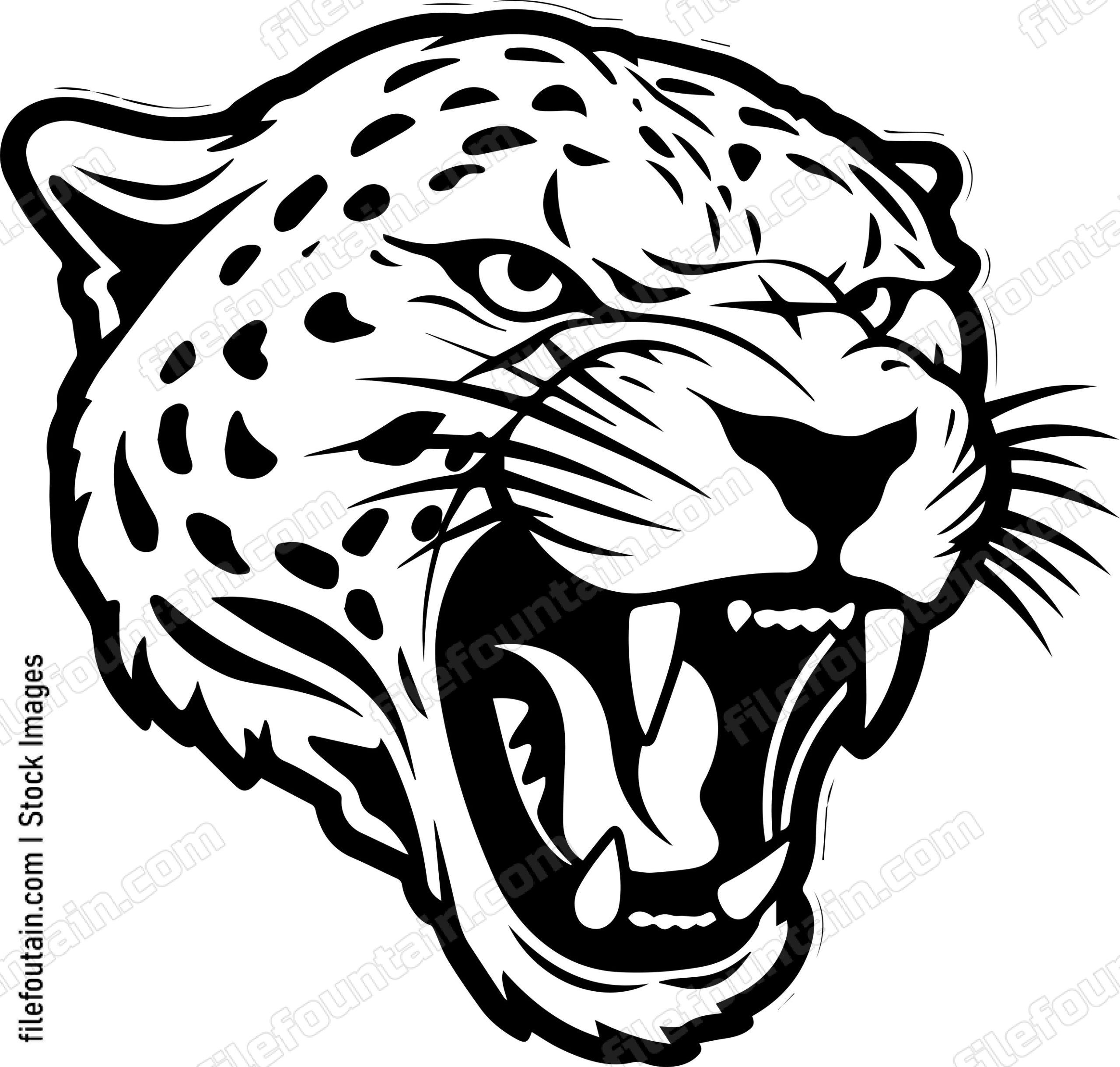 Angry Jaguar