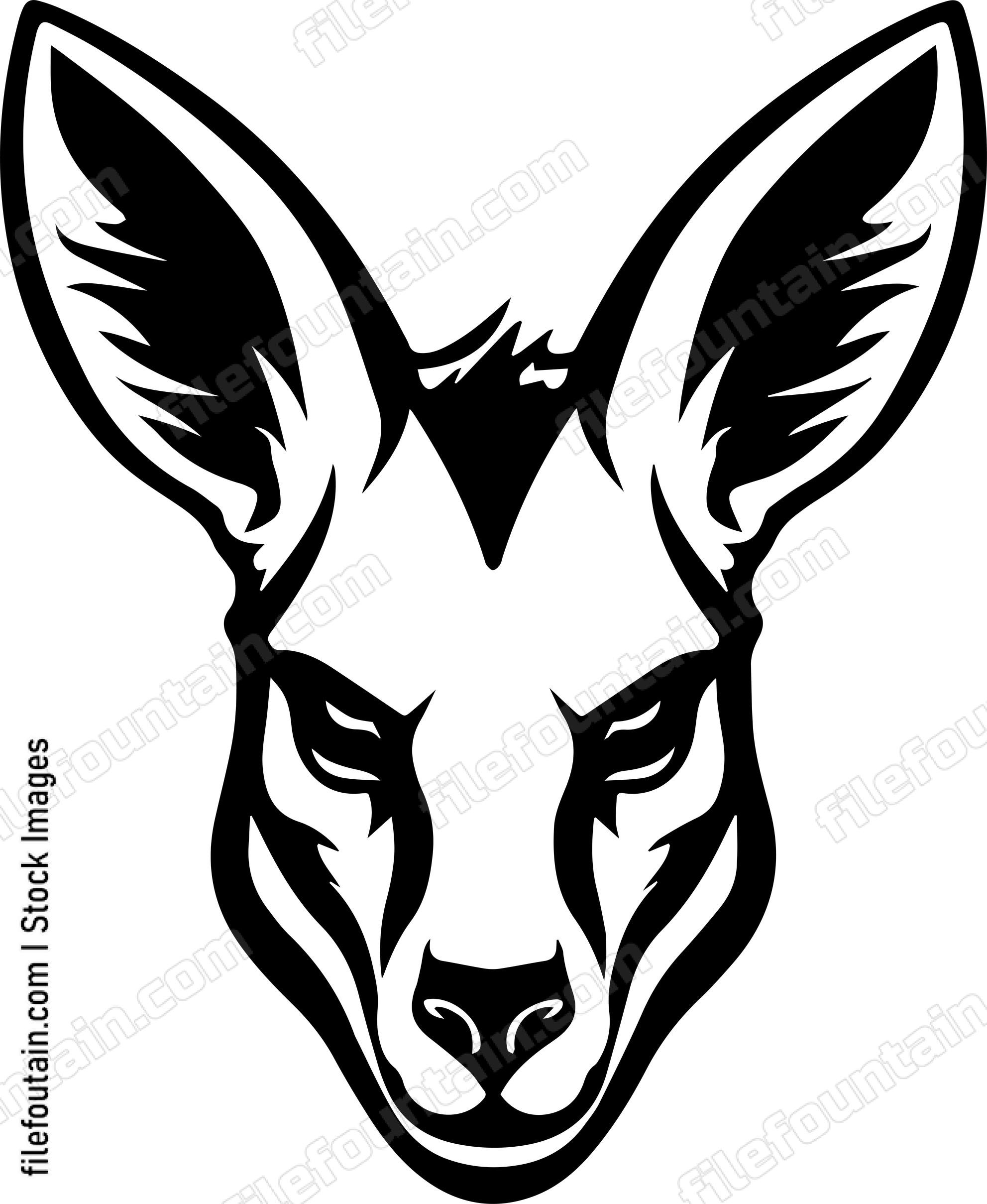 Angry Kangaroo