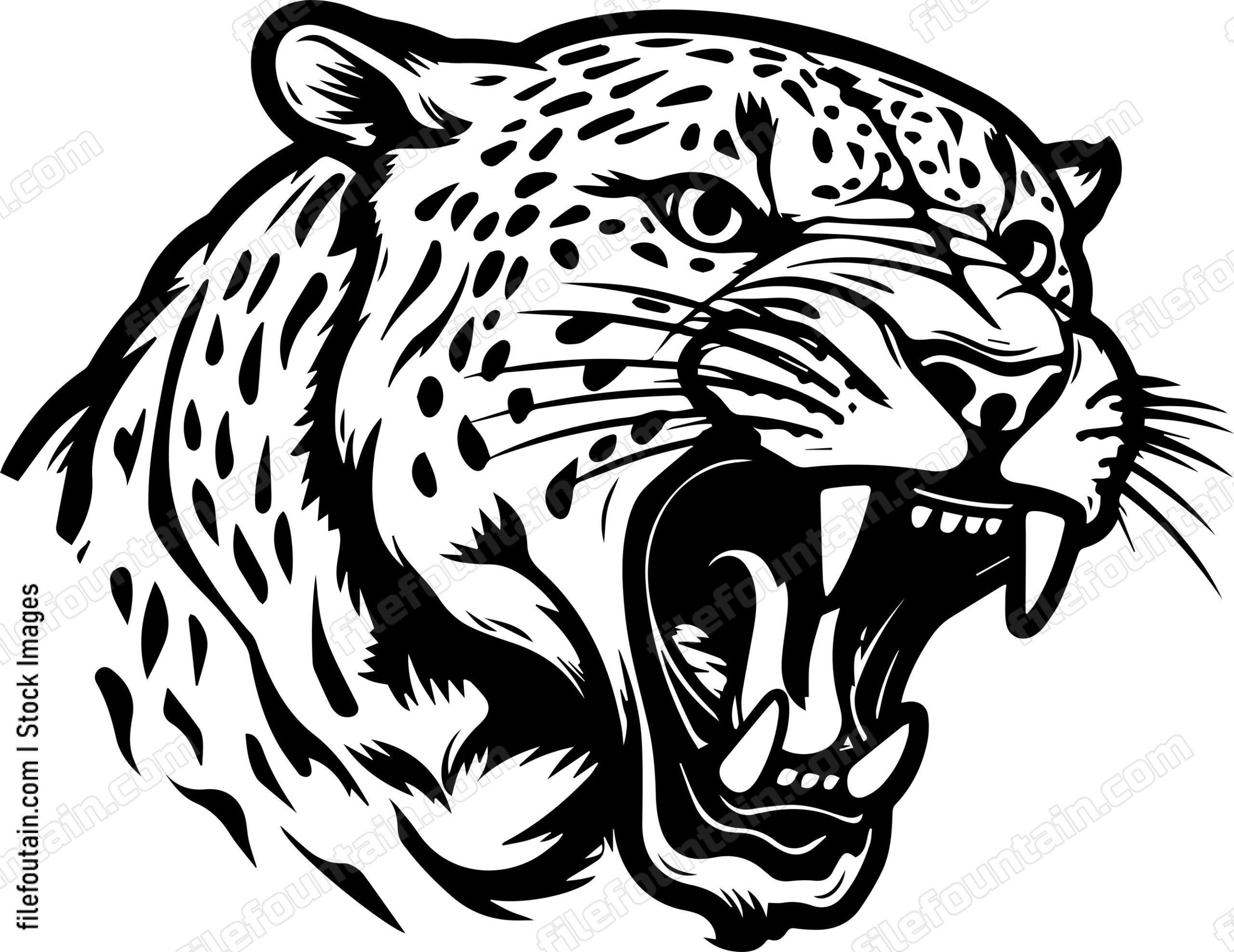 Angry Leopard