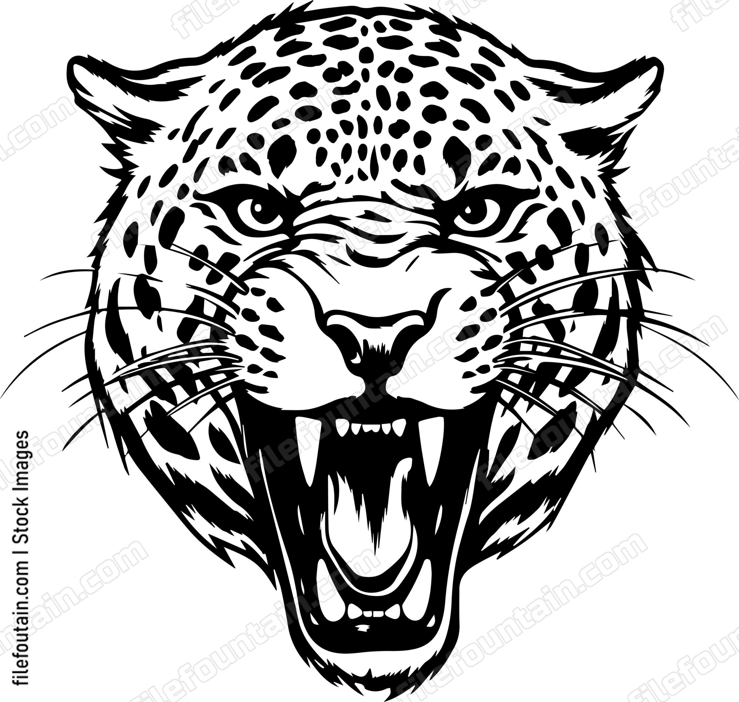 Angry Leopard