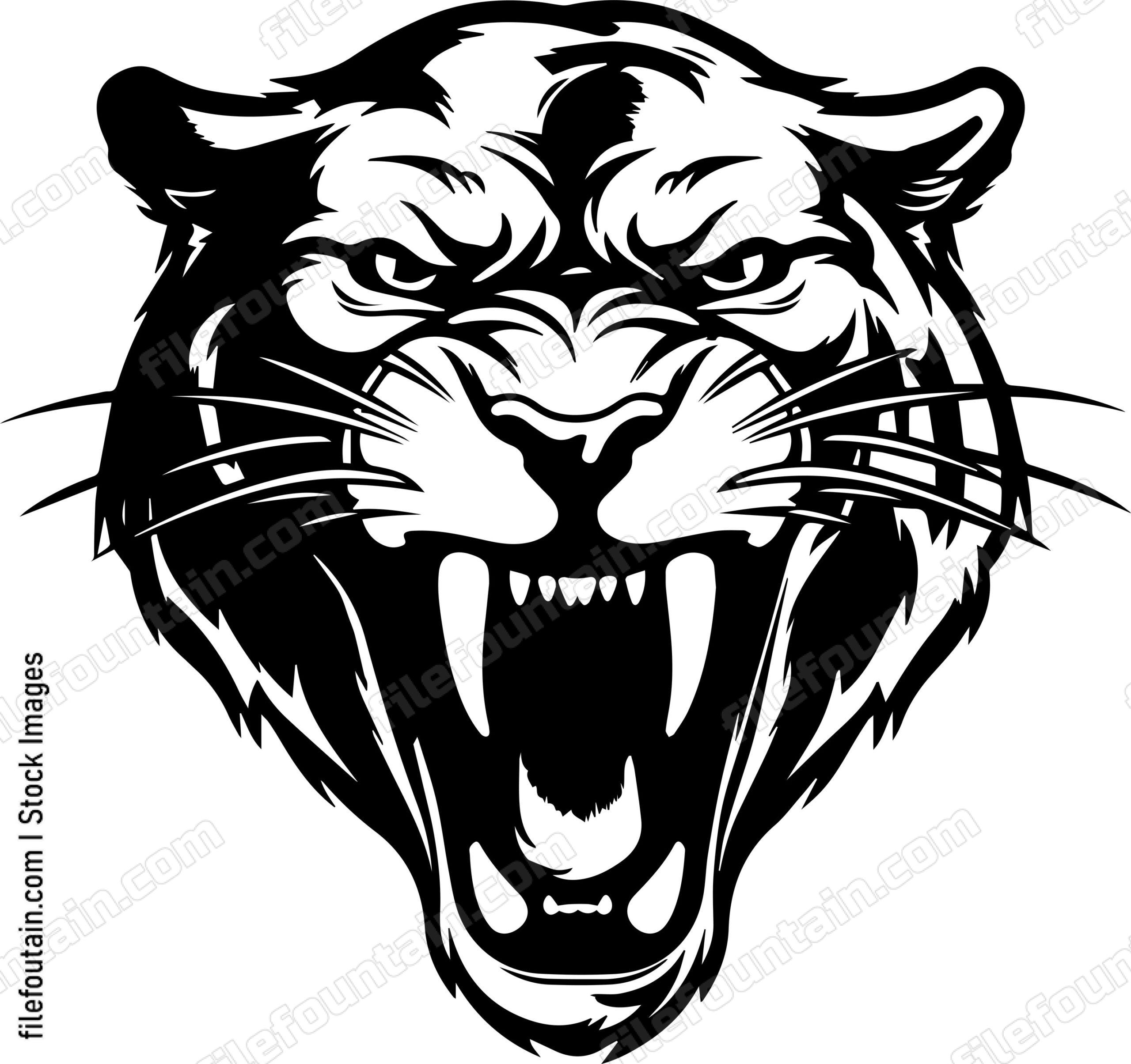 Angry Panther
