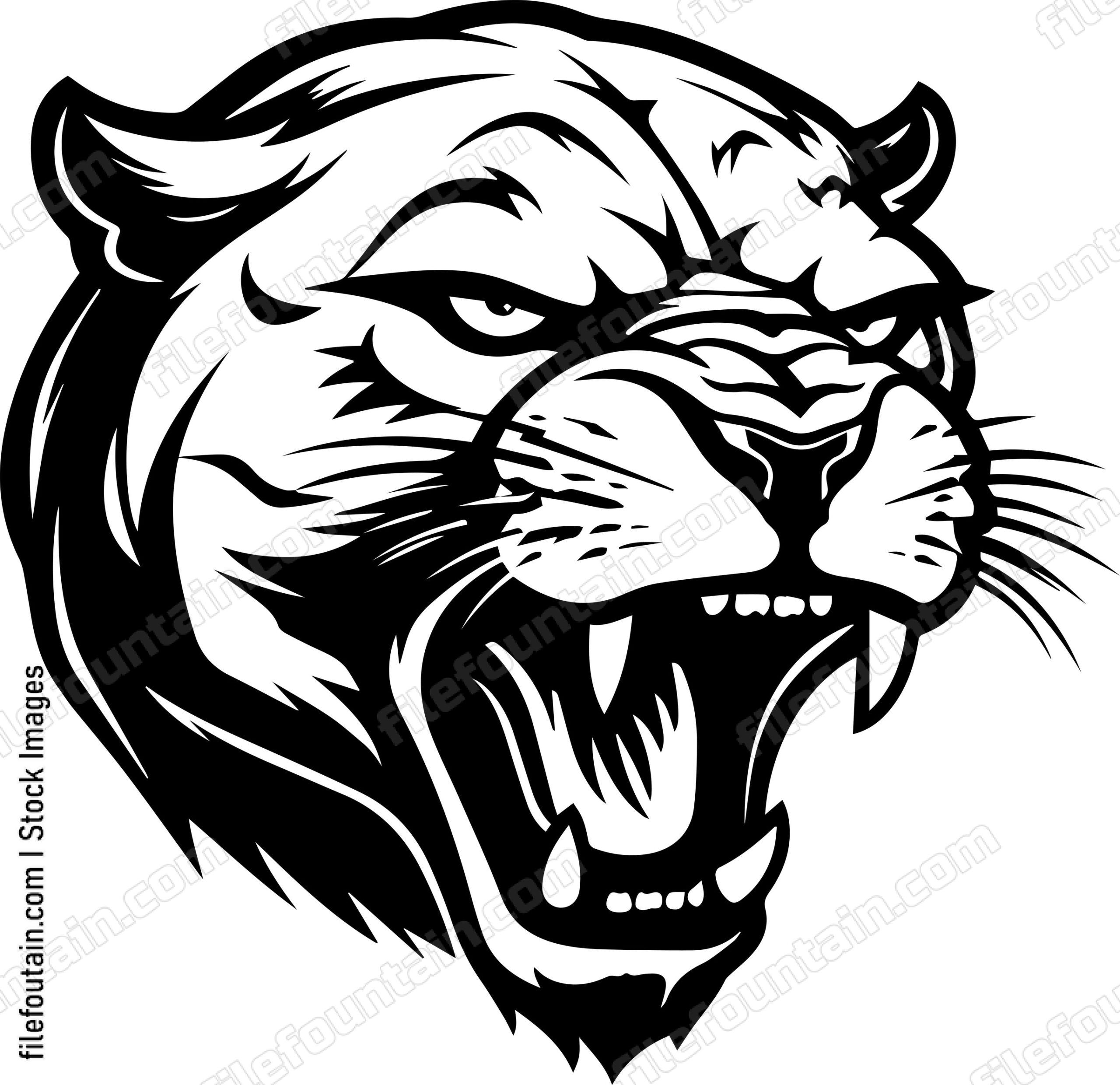 Angry Panther