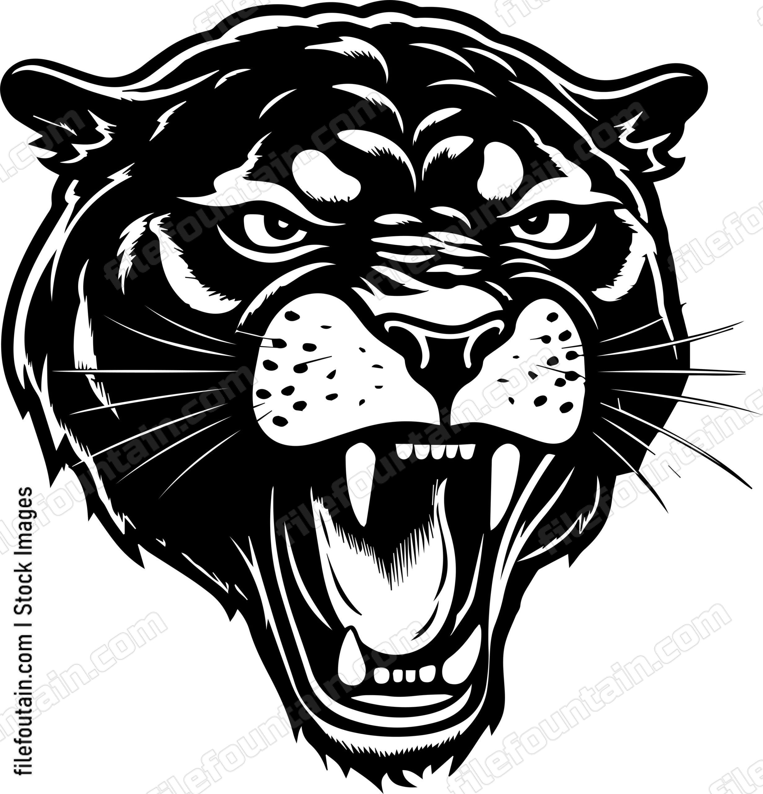 Angry Panther