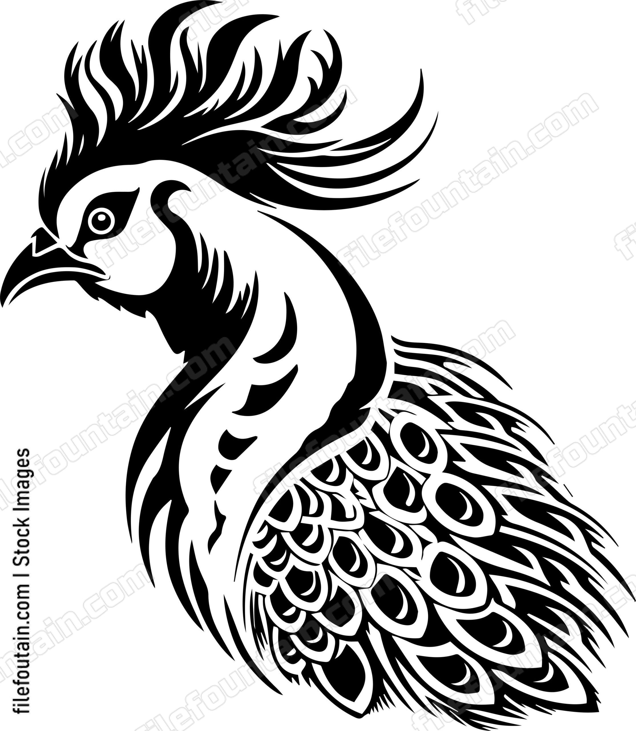 Angry Peacock