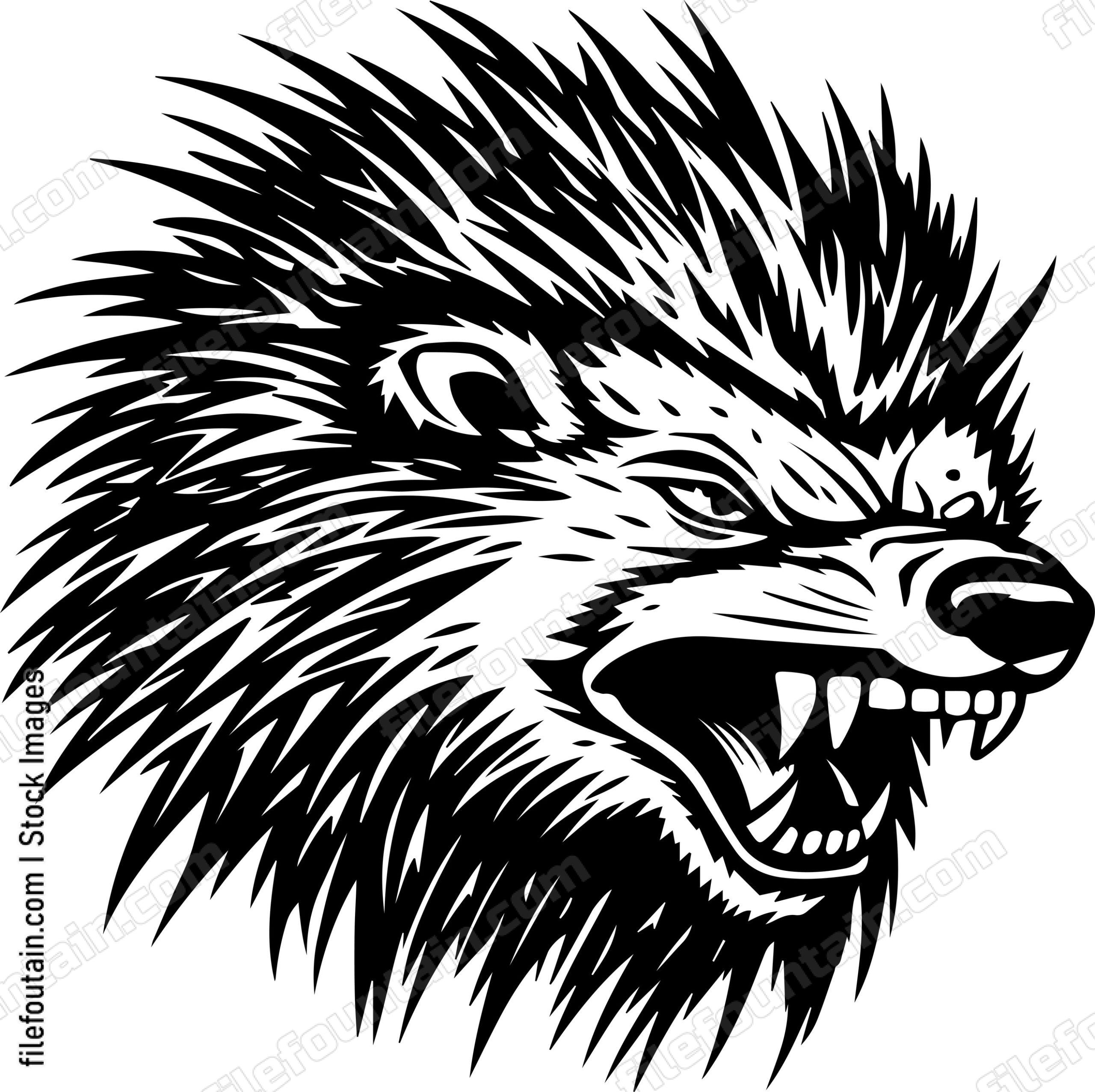 Angry Porcupine