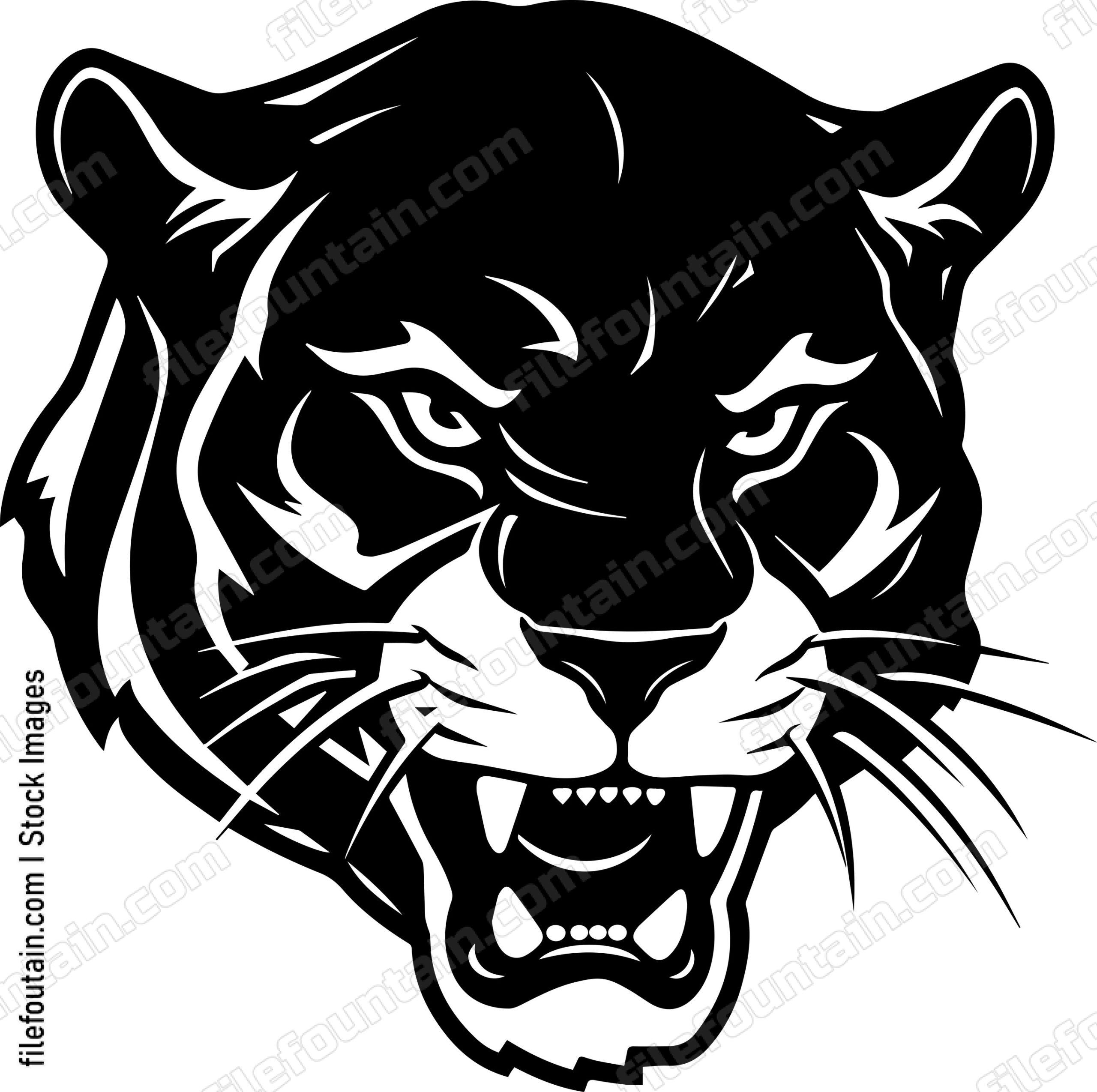 Angry Puma